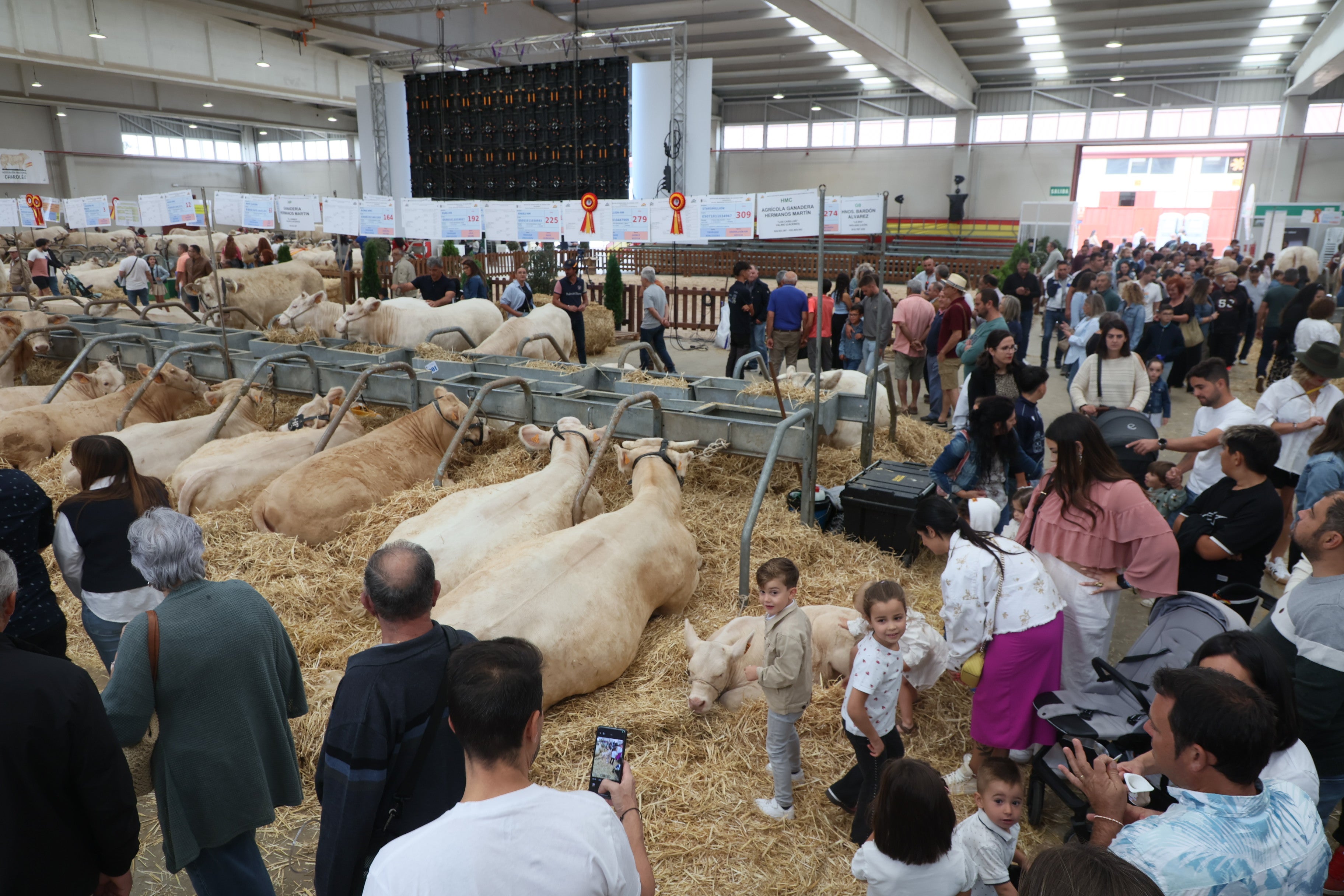 Las mejores imágenes del cuarto día de &#039;Salamaq 2025&#039;