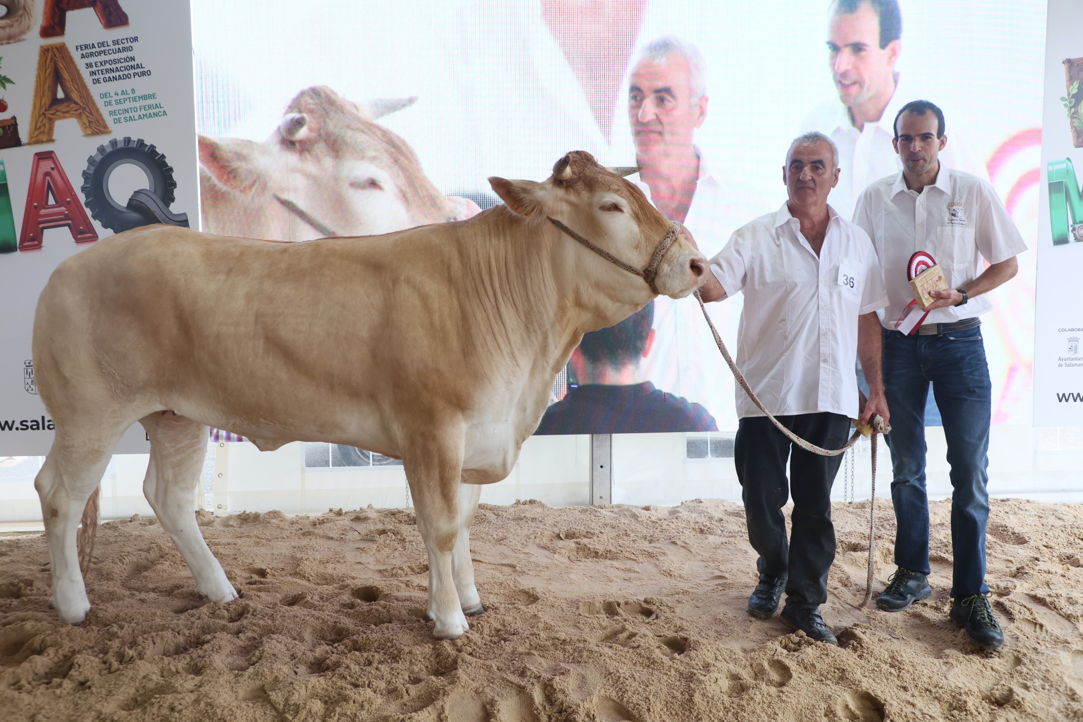 Las mejores imágenes del cuarto día de &#039;Salamaq 2025&#039;