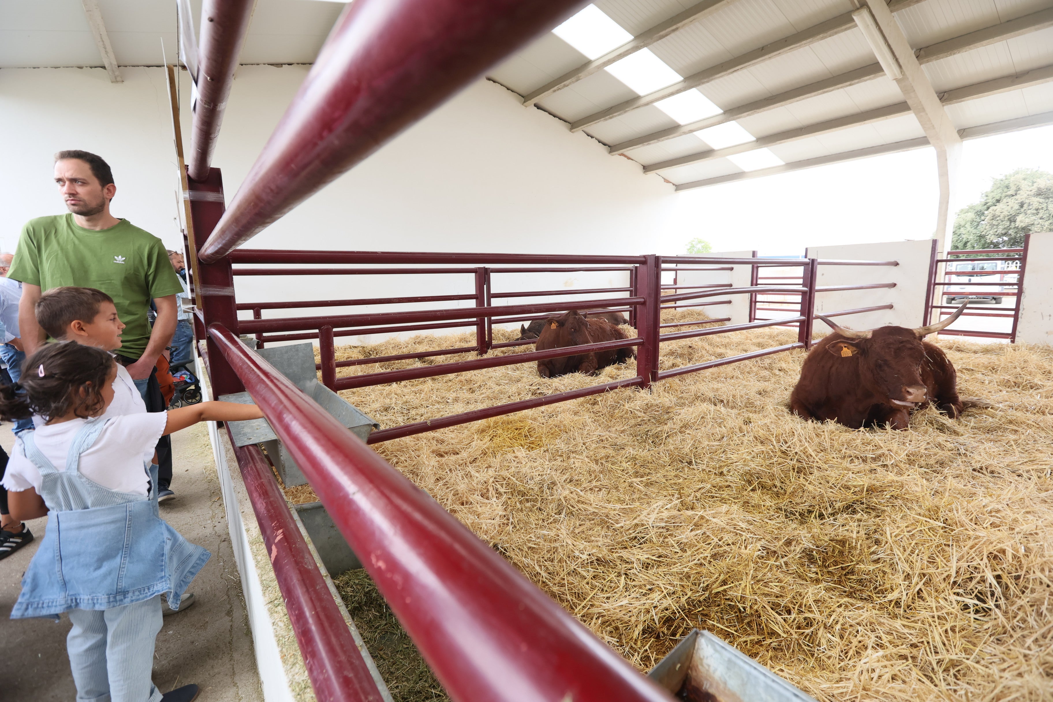 Las mejores imágenes del cuarto día de &#039;Salamaq 2025&#039;