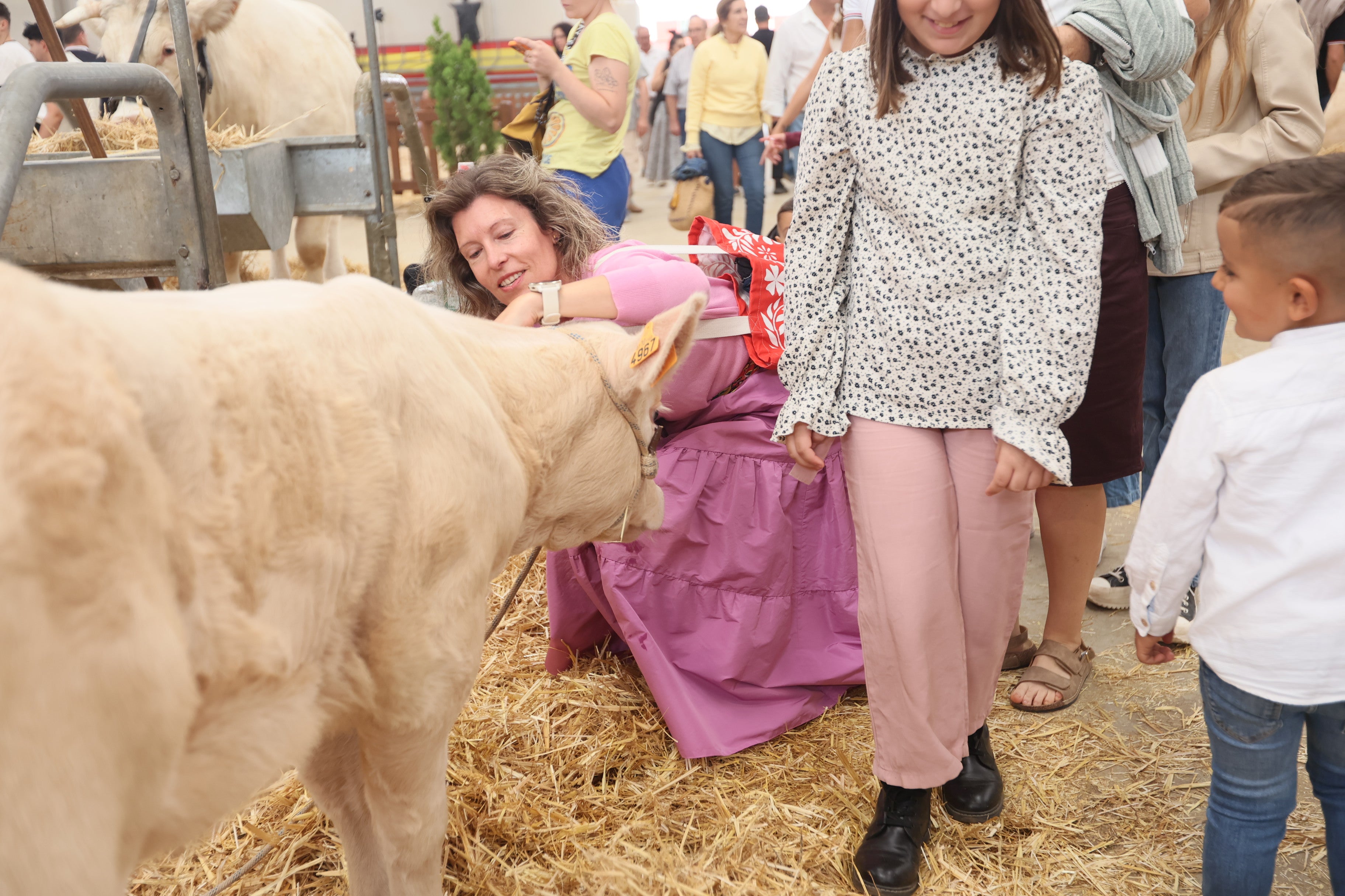 Las mejores imágenes del cuarto día de &#039;Salamaq 2025&#039;