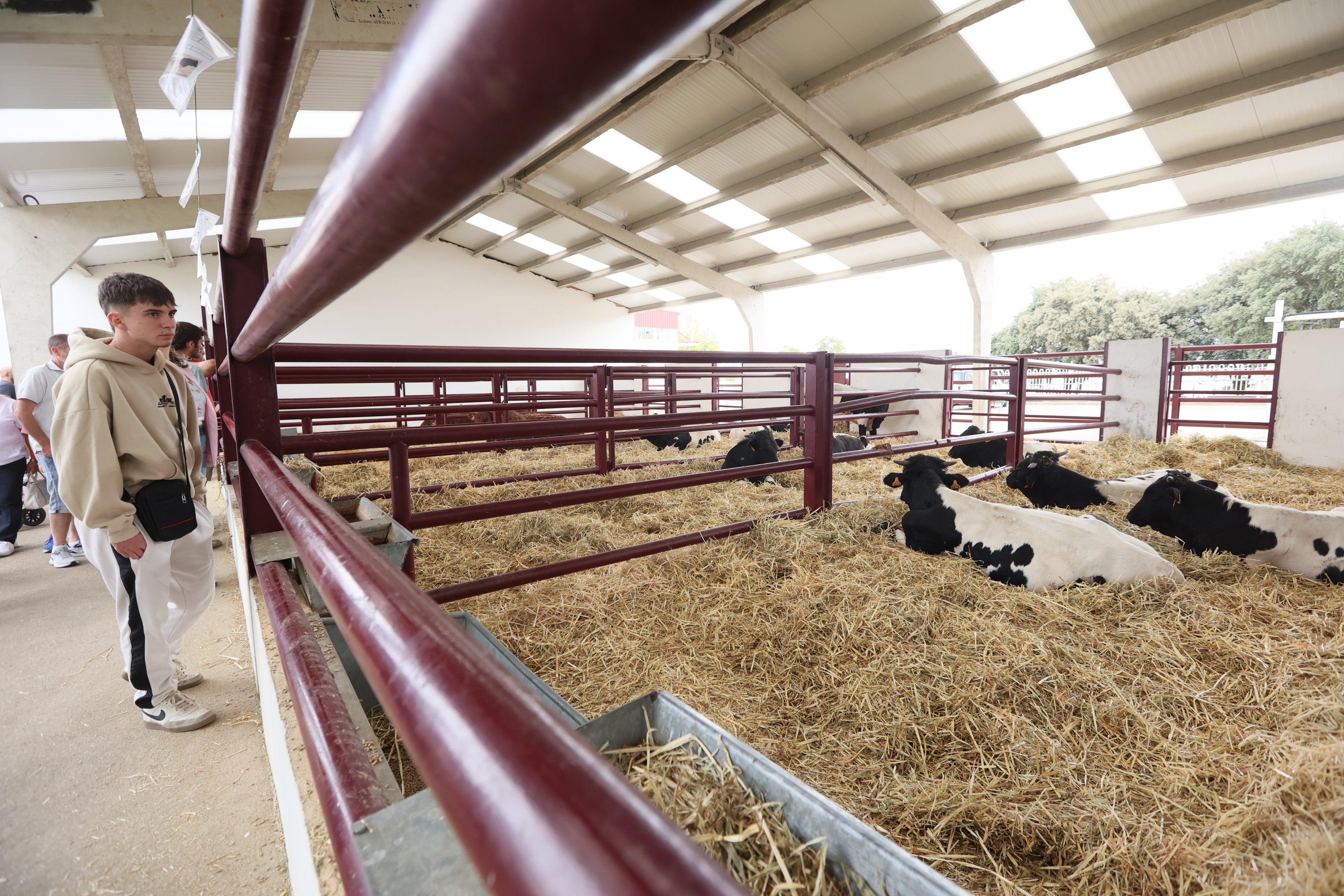 Las mejores imágenes del cuarto día de &#039;Salamaq 2025&#039;