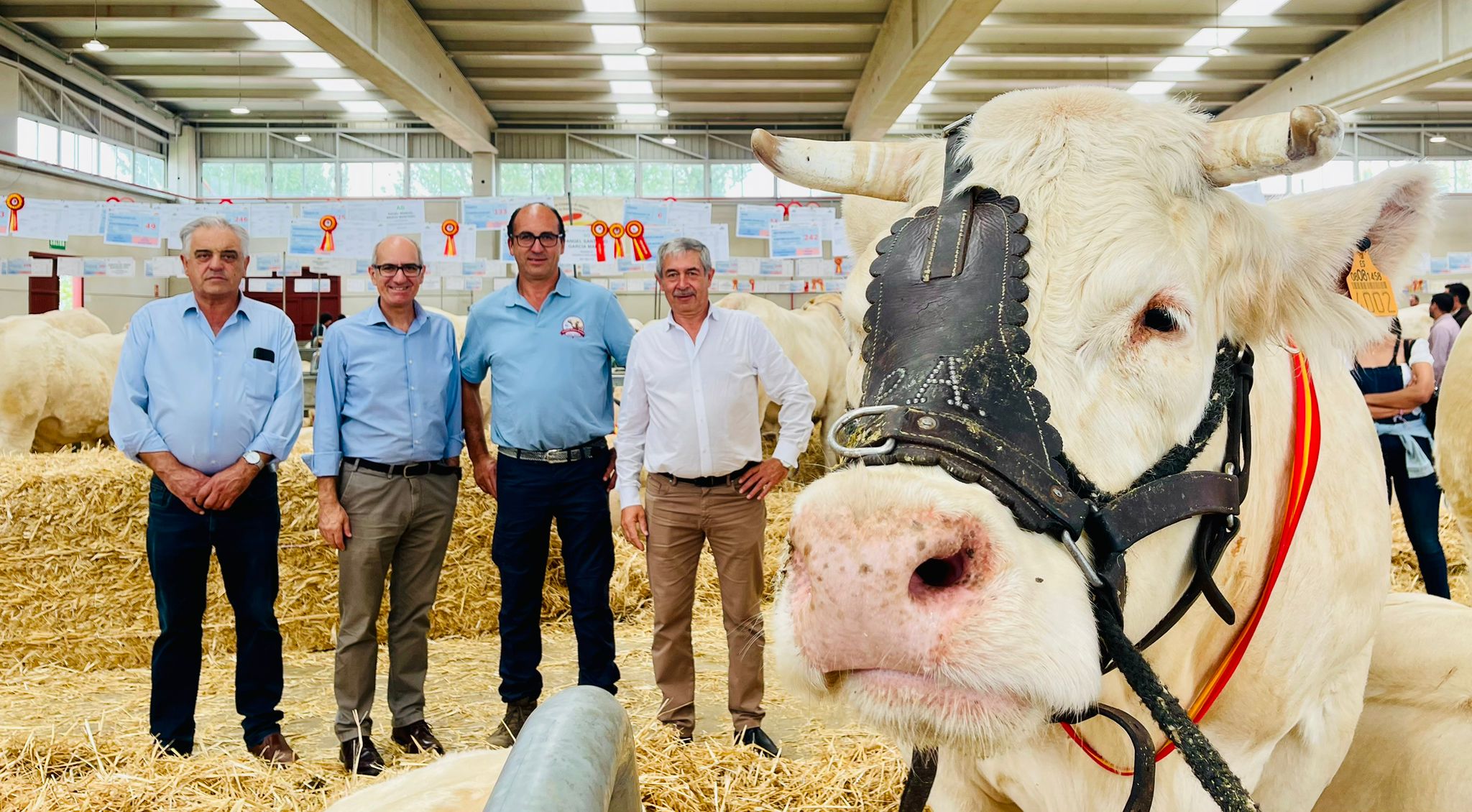 Las mejores imágenes del cuarto día de &#039;Salamaq 2025&#039;