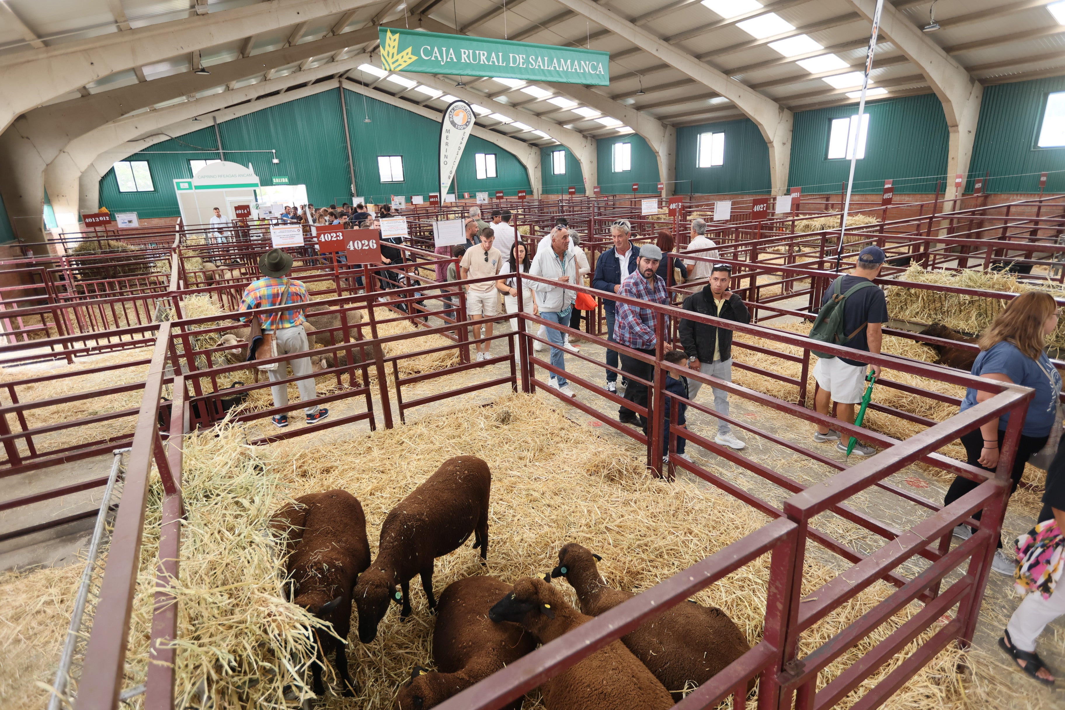 Las mejores imágenes del cuarto día de &#039;Salamaq 2025&#039;