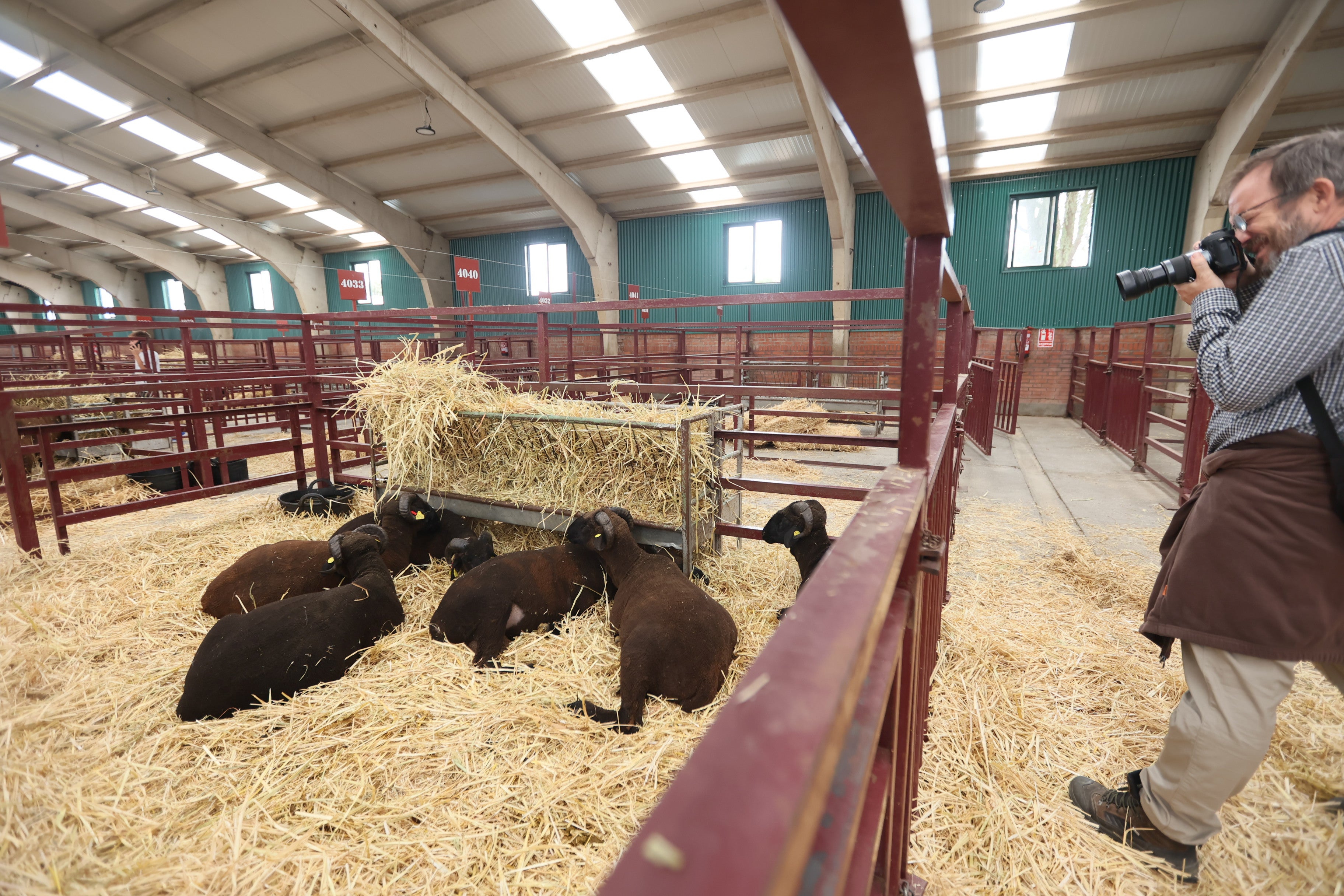 Las mejores imágenes del cuarto día de &#039;Salamaq 2025&#039;