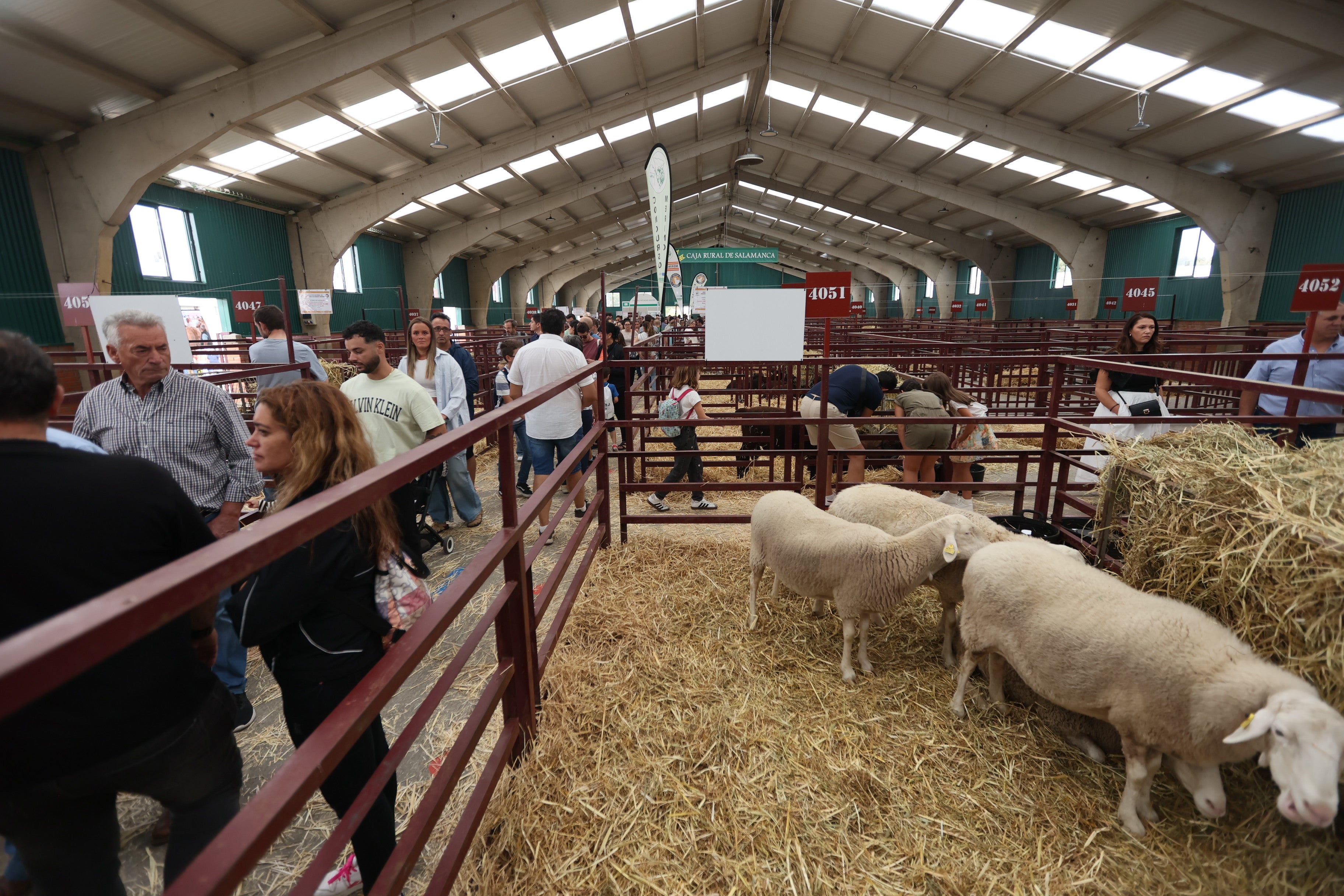 Las mejores imágenes del cuarto día de &#039;Salamaq 2025&#039;