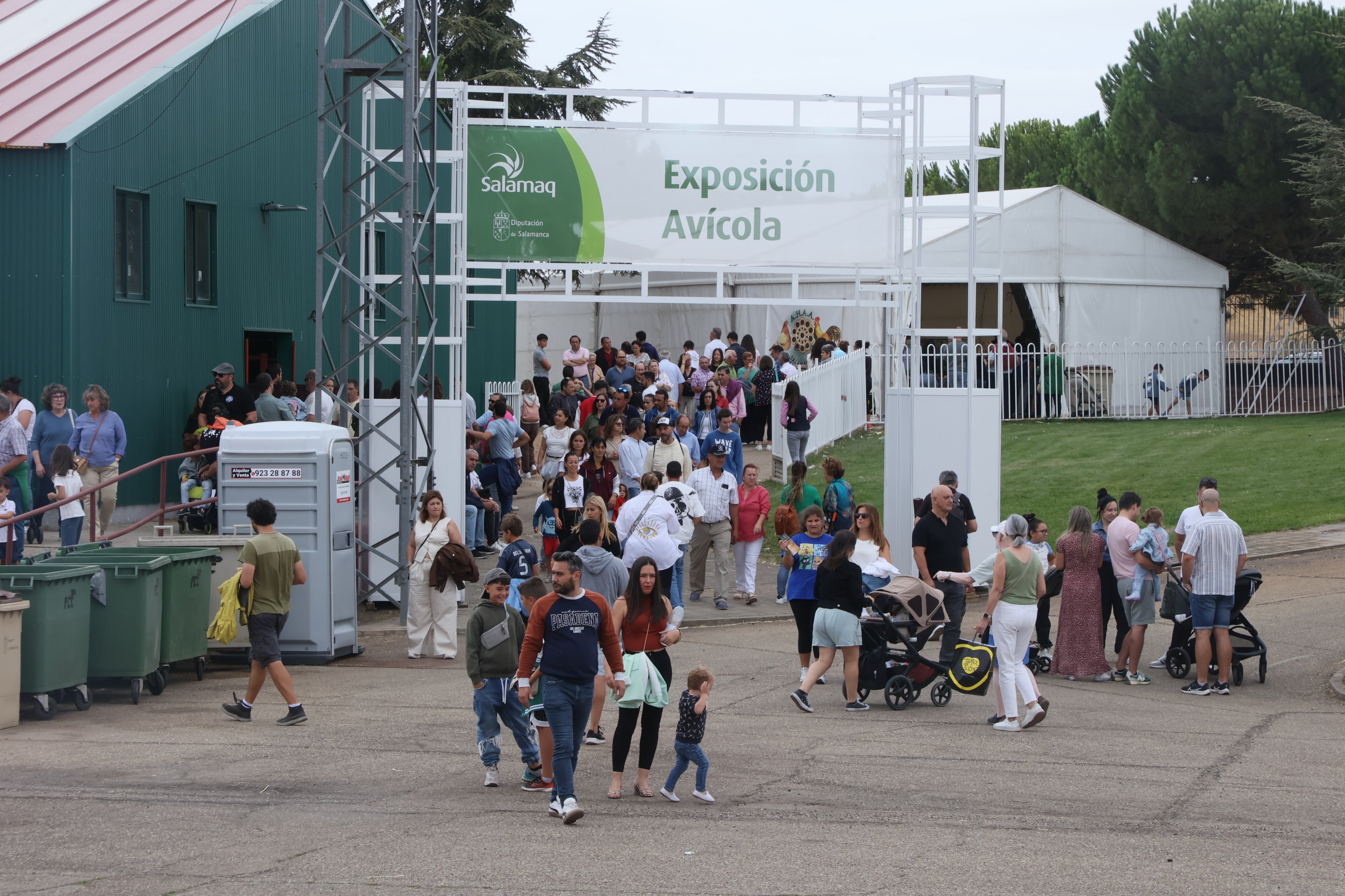 Las mejores imágenes del cuarto día de &#039;Salamaq 2025&#039;