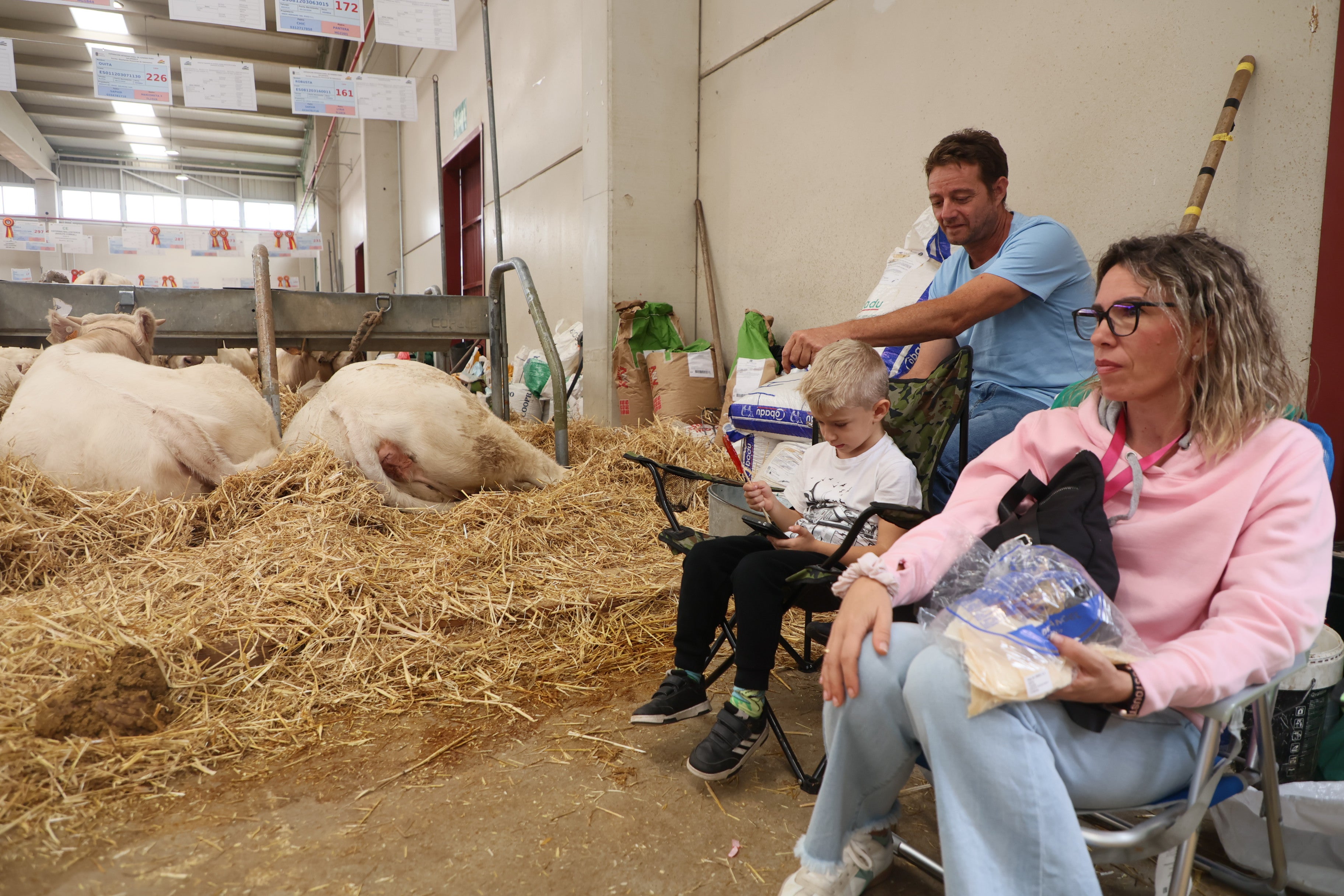 Las mejores imágenes del cuarto día de &#039;Salamaq 2025&#039;