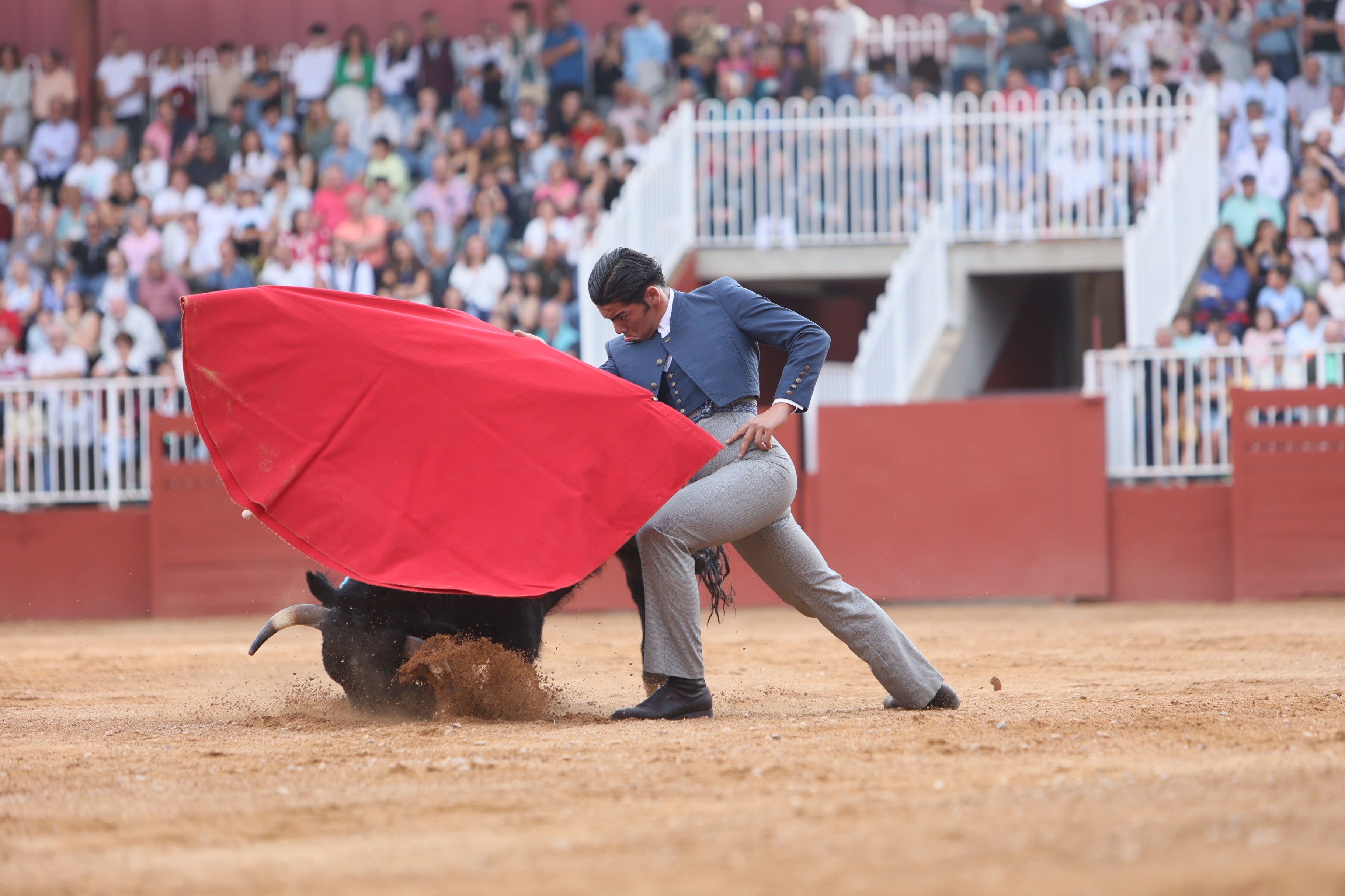 José Tomás Ortiz, triunfador en la clase práctica de tauromaquia