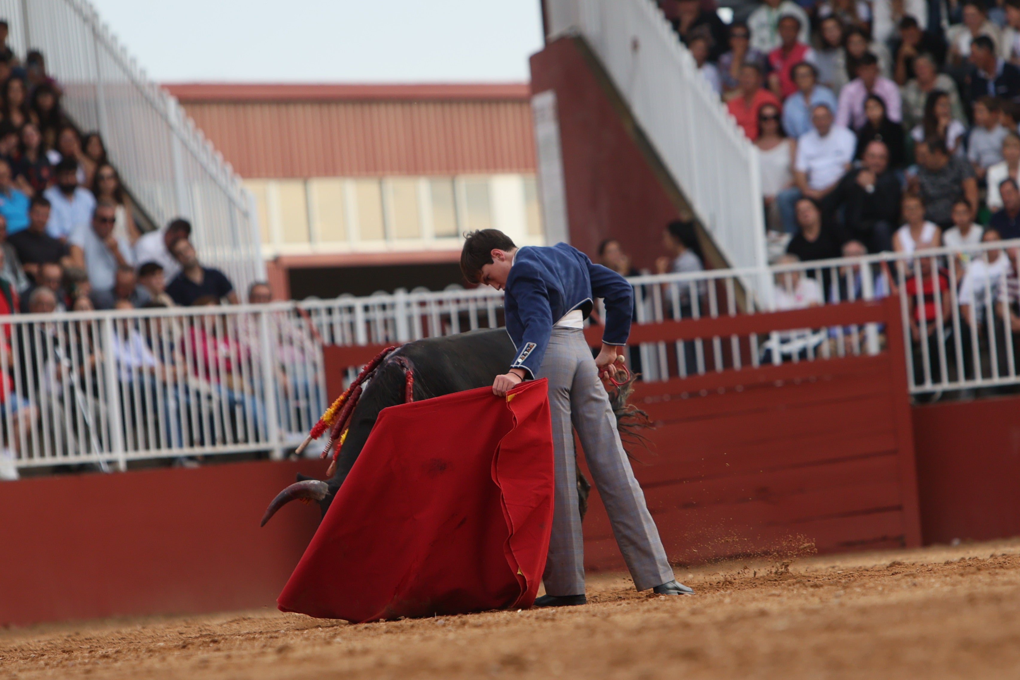 José Tomás Ortiz, triunfador en la clase práctica de tauromaquia