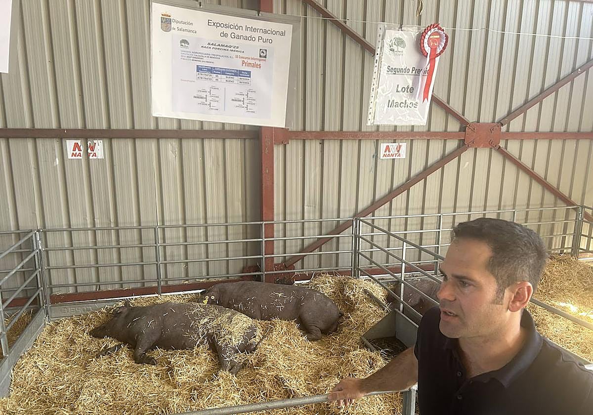 Gonzalo Hernández, de AECERIBER.