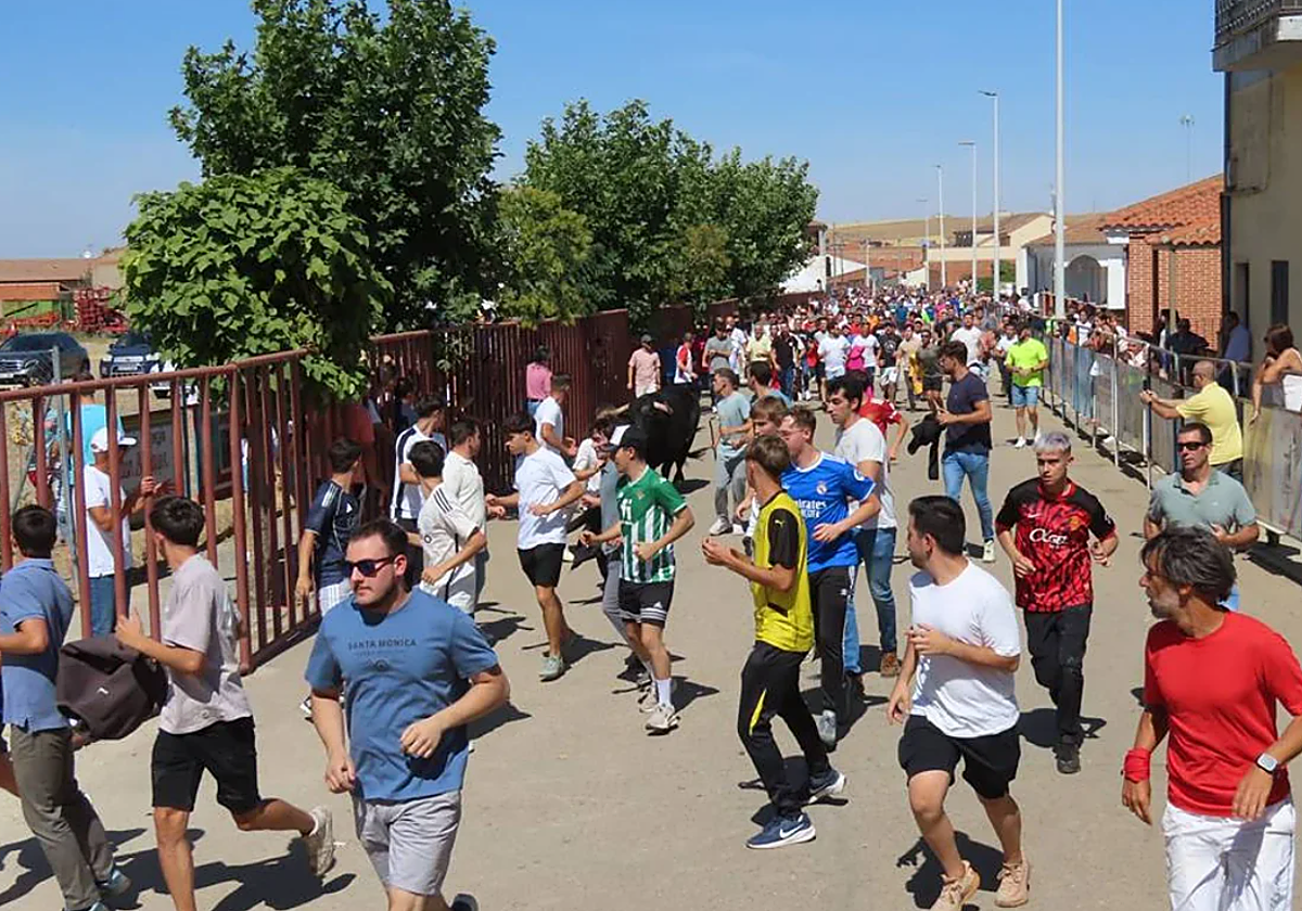 Imagen de un encierro en la provincia.