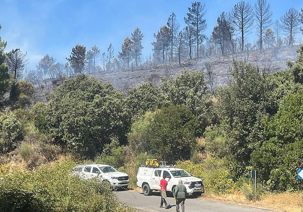Imagen del incendio declarado en Garcibuey en la jornada de este sábado.