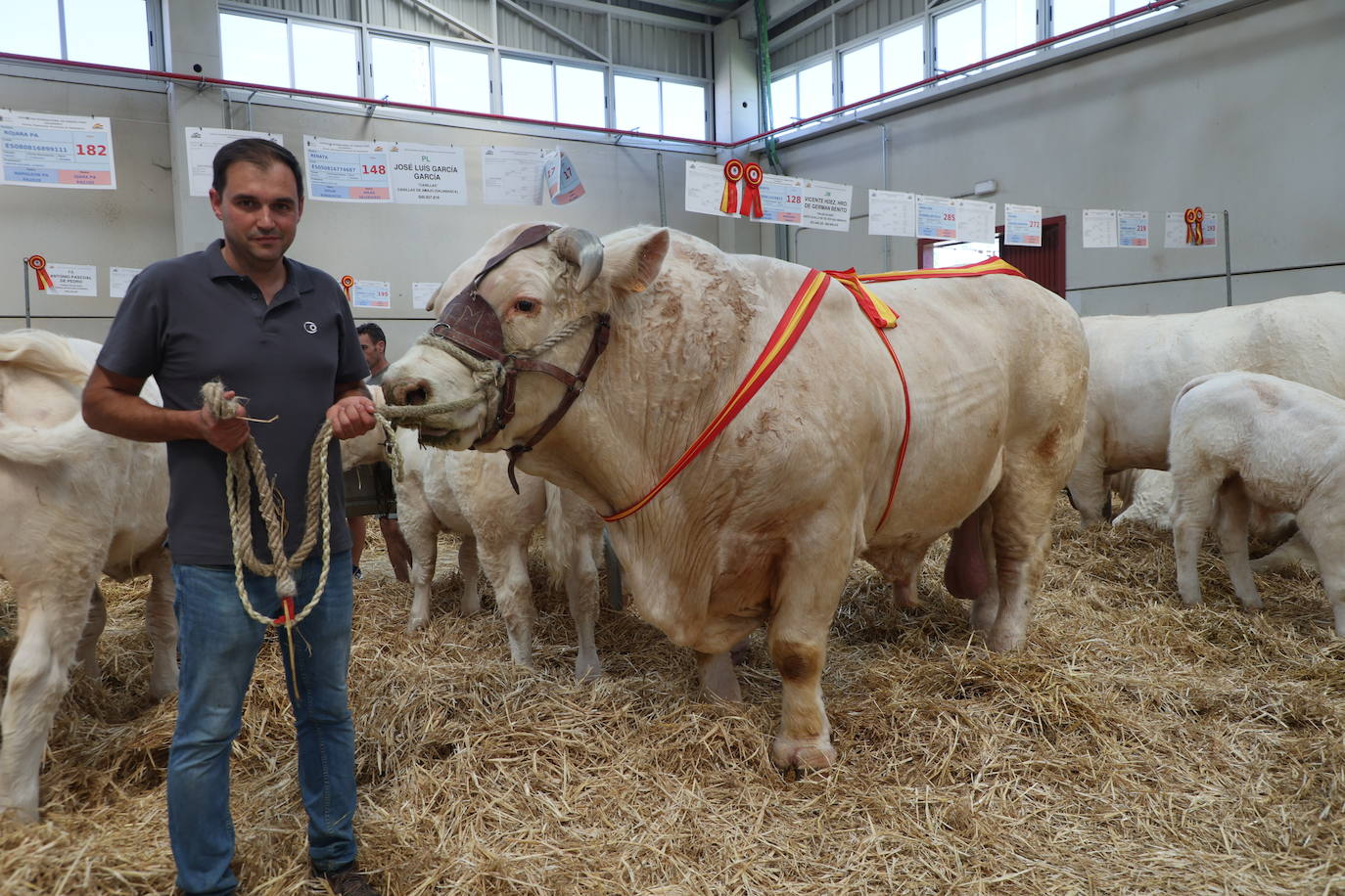 'Inquieto', el toro ganador de Vicente Hernández.