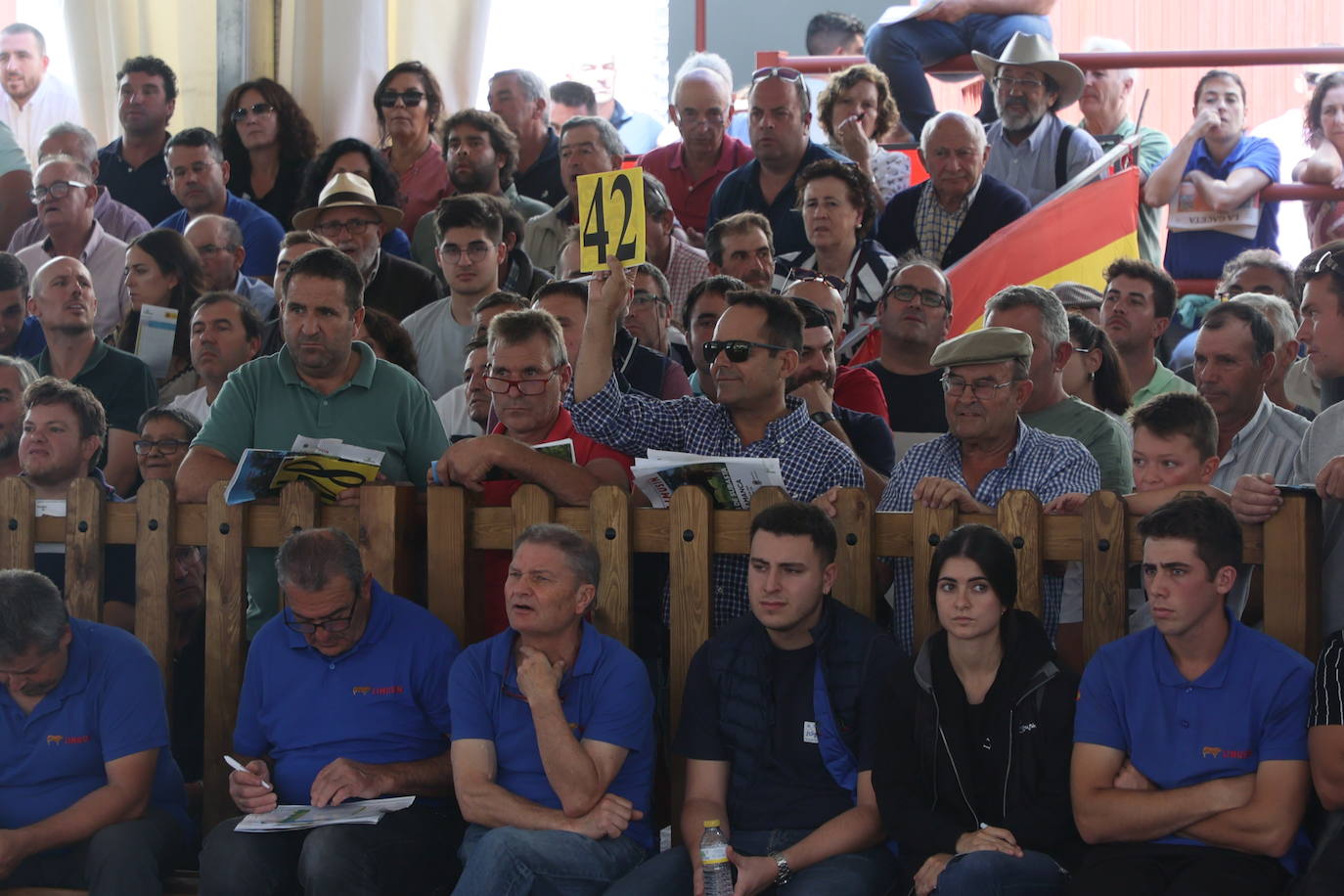 Las mejores imágenes con las que despedir el último día de &#039;Salamaq 2025&#039;