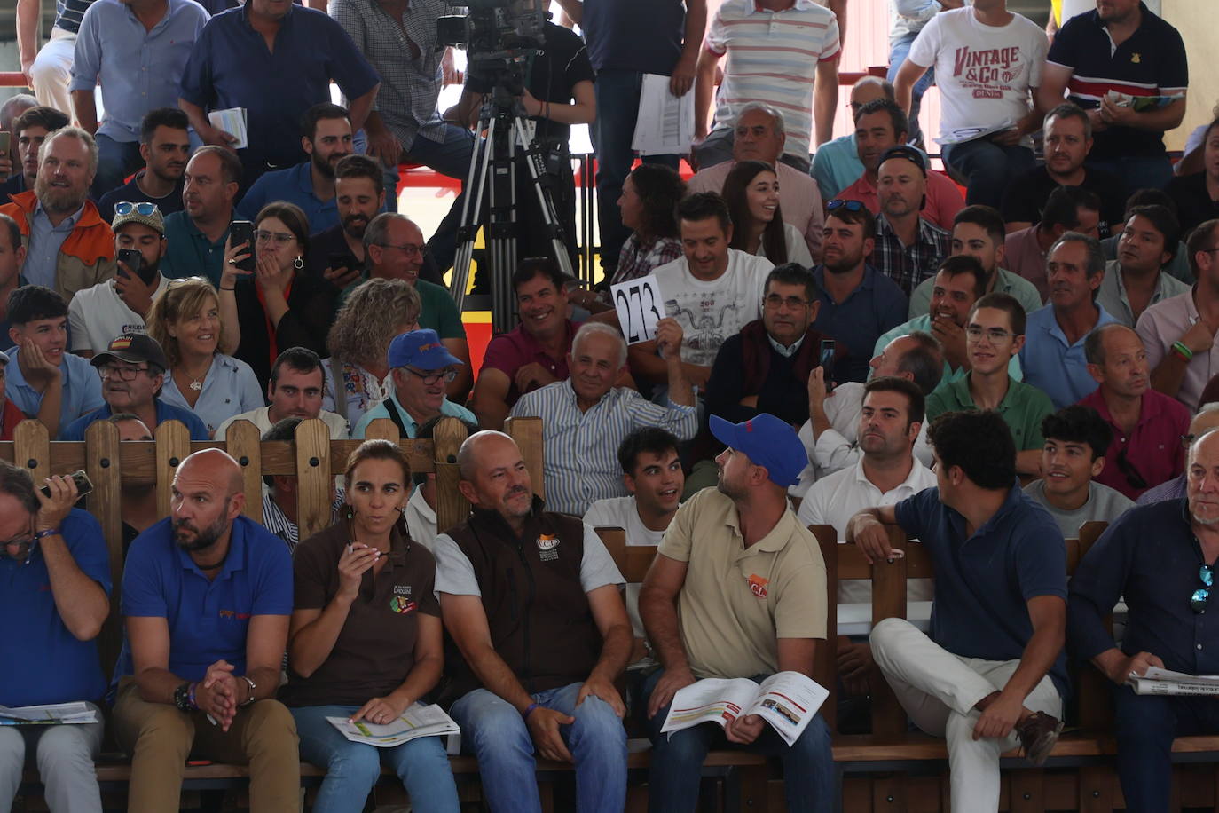 Las mejores imágenes con las que despedir el último día de &#039;Salamaq 2025&#039;