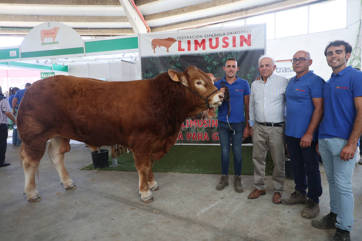 Las mejores imágenes con las que despedir el último día de &#039;Salamaq 2025&#039;