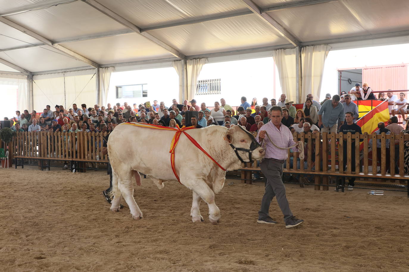Las mejores imágenes con las que despedir el último día de &#039;Salamaq 2025&#039;