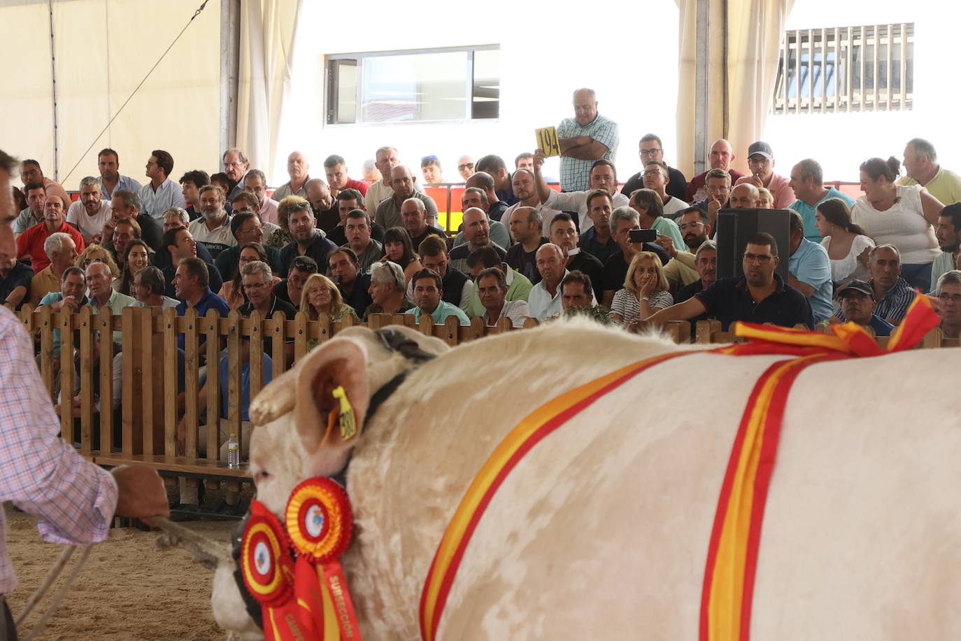 Las mejores imágenes con las que despedir el último día de &#039;Salamaq 2025&#039;