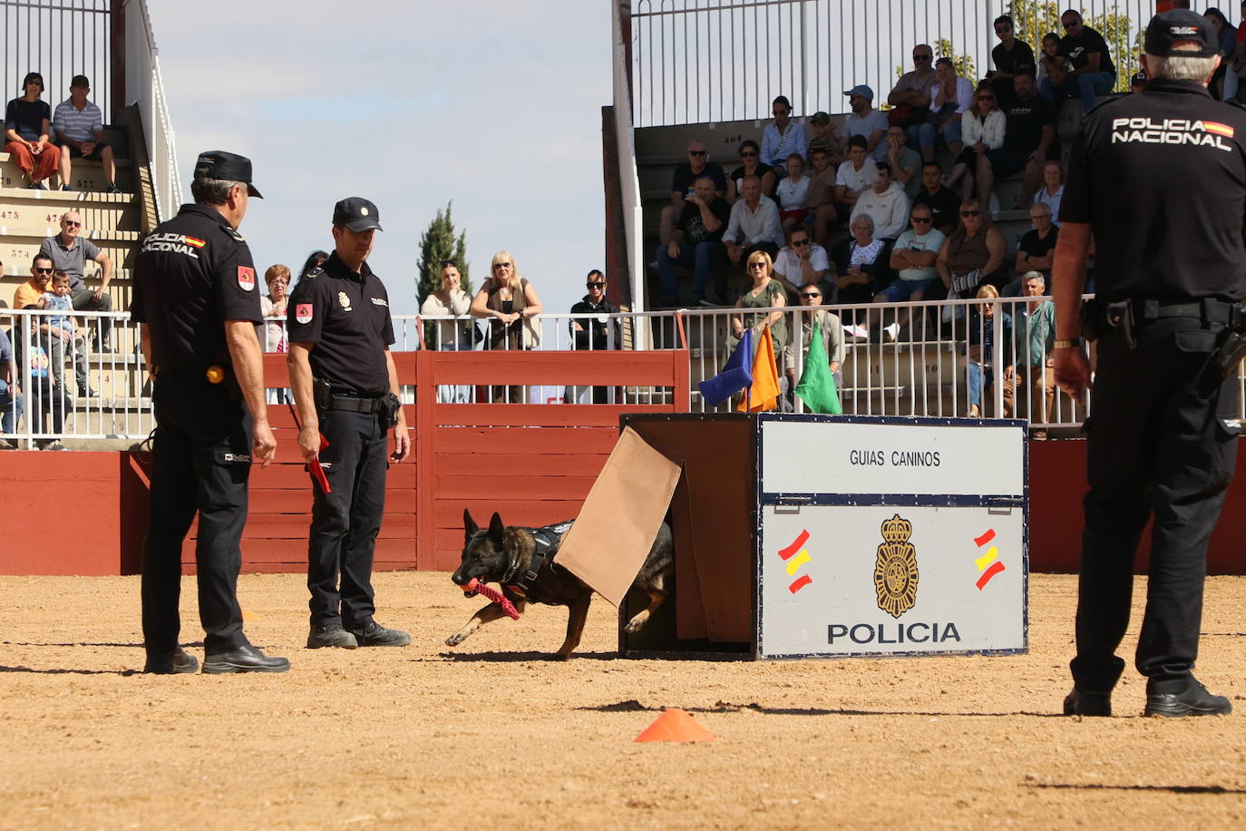 Las mejores imágenes con las que despedir el último día de &#039;Salamaq 2025&#039;