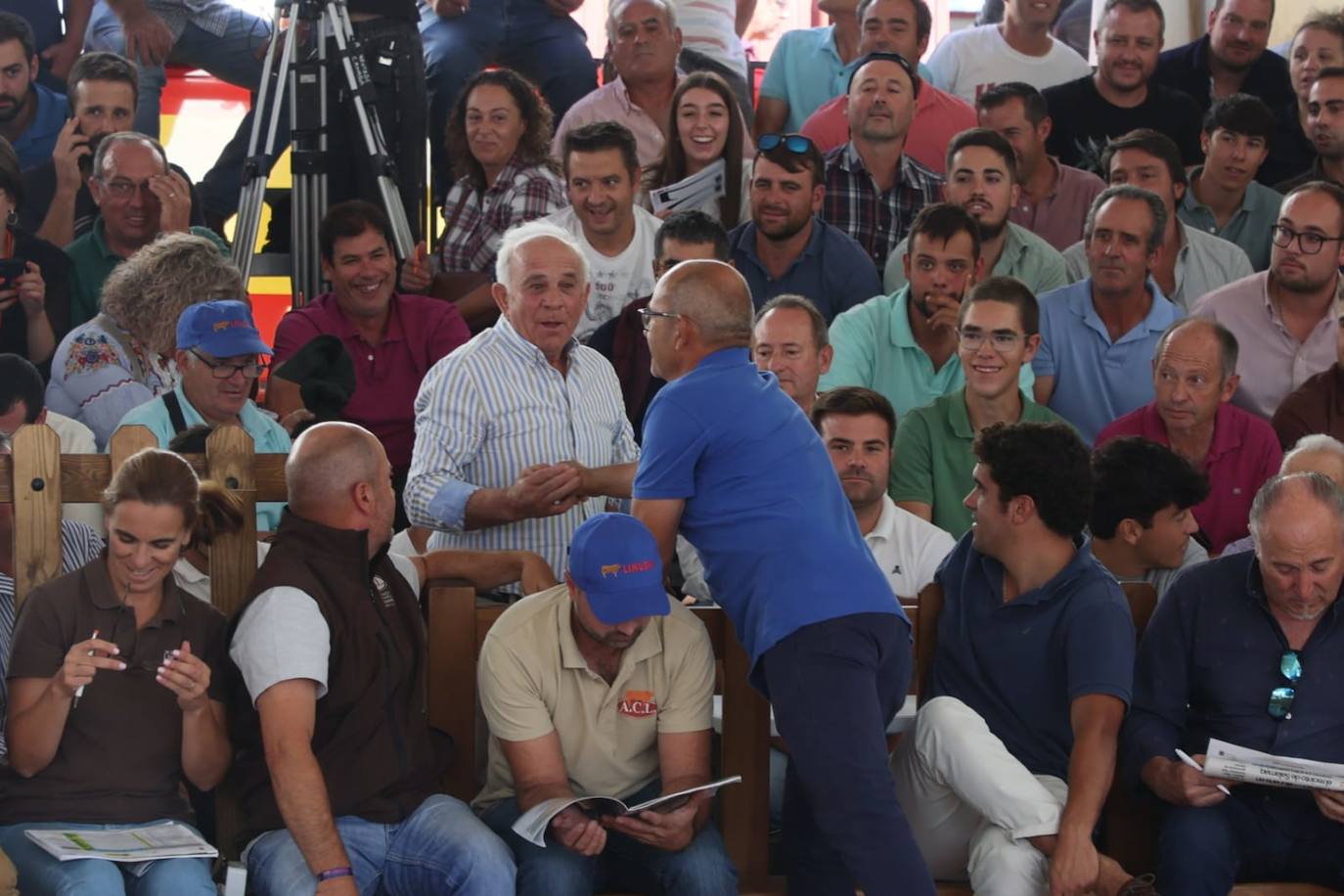 Éxito rotundo en la subasta de vacuno de &#039;Salamaq 2025&#039; por los numerosos ejemplares vendidos por encima de los 6.000 euros