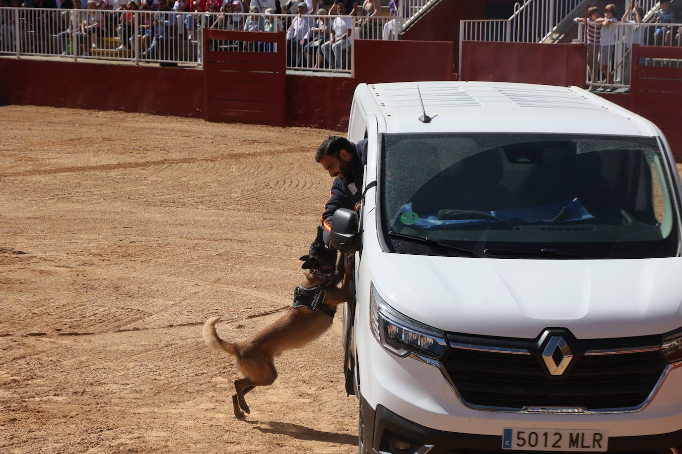 Las mejores imágenes con las que despedir el último día de &#039;Salamaq 2025&#039;