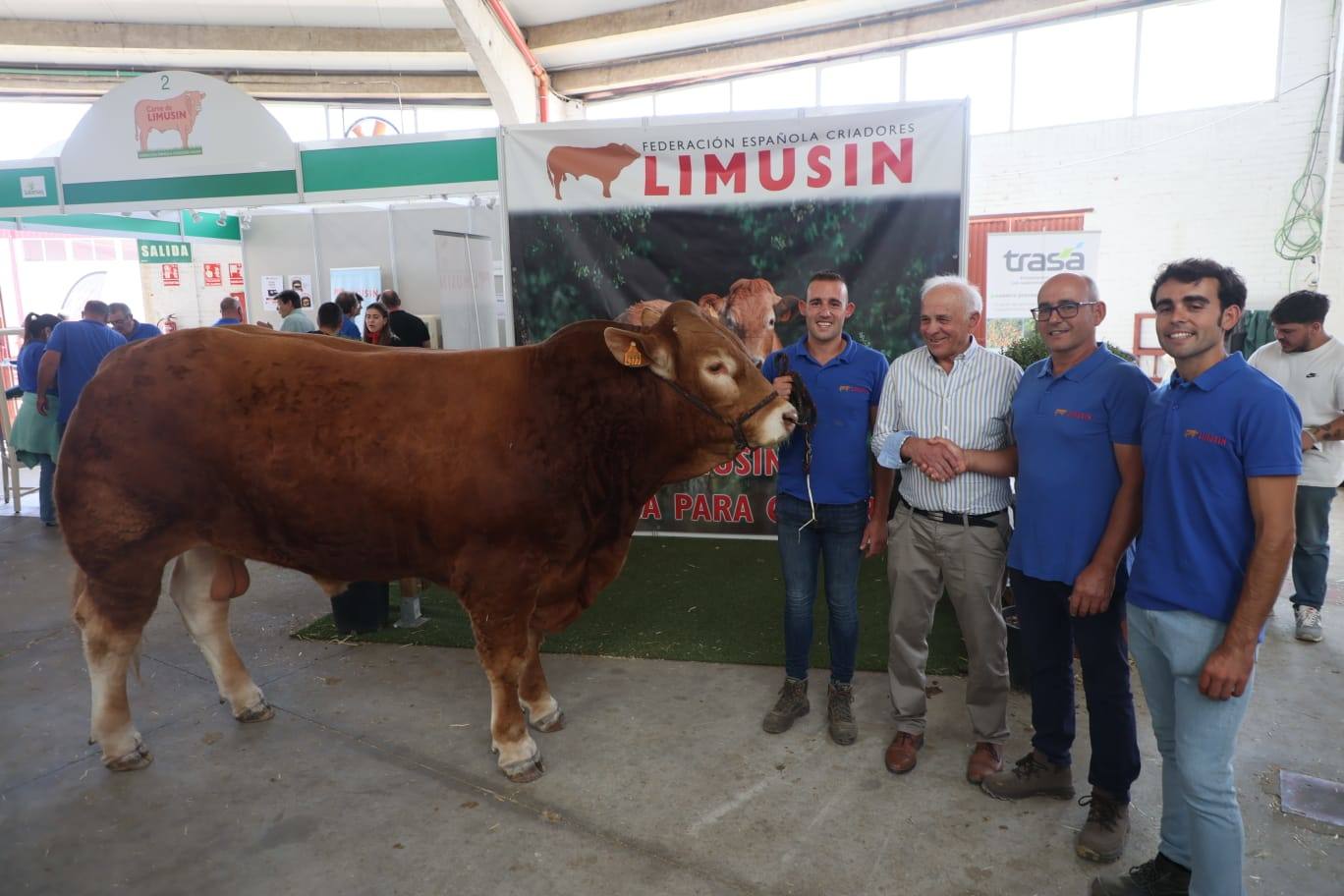 Éxito rotundo en la subasta de vacuno de &#039;Salamaq 2025&#039; por los numerosos ejemplares vendidos por encima de los 6.000 euros