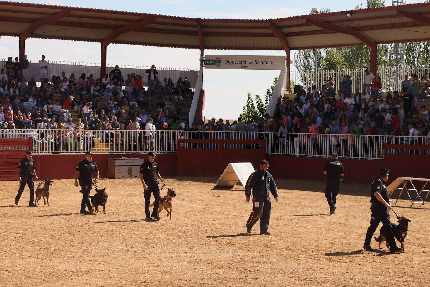 Las mejores imágenes con las que despedir el último día de &#039;Salamaq 2025&#039;