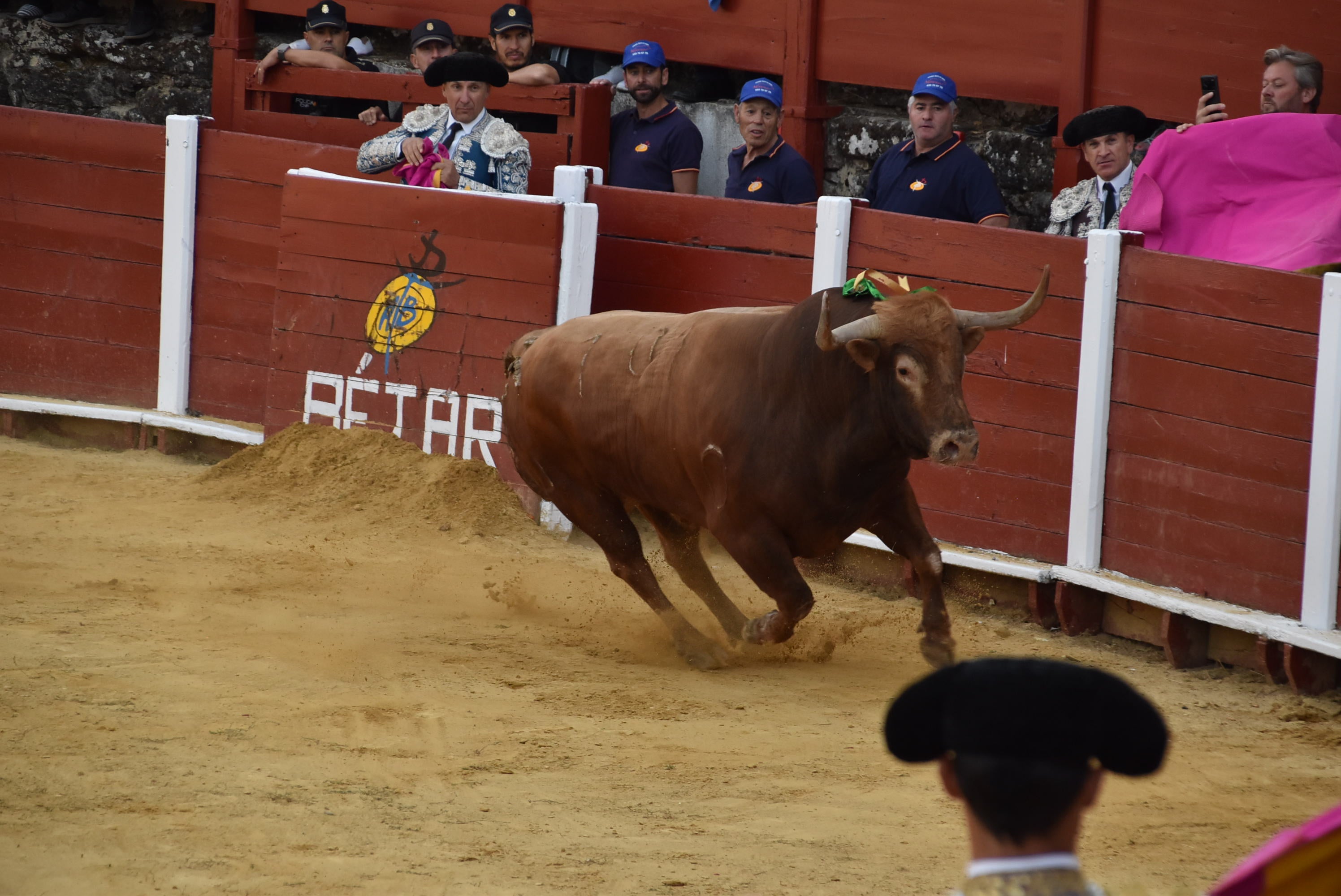 Puerta grande para Castaño, Diosleguarde y Julio Norte en la plaza de toros de Béjar