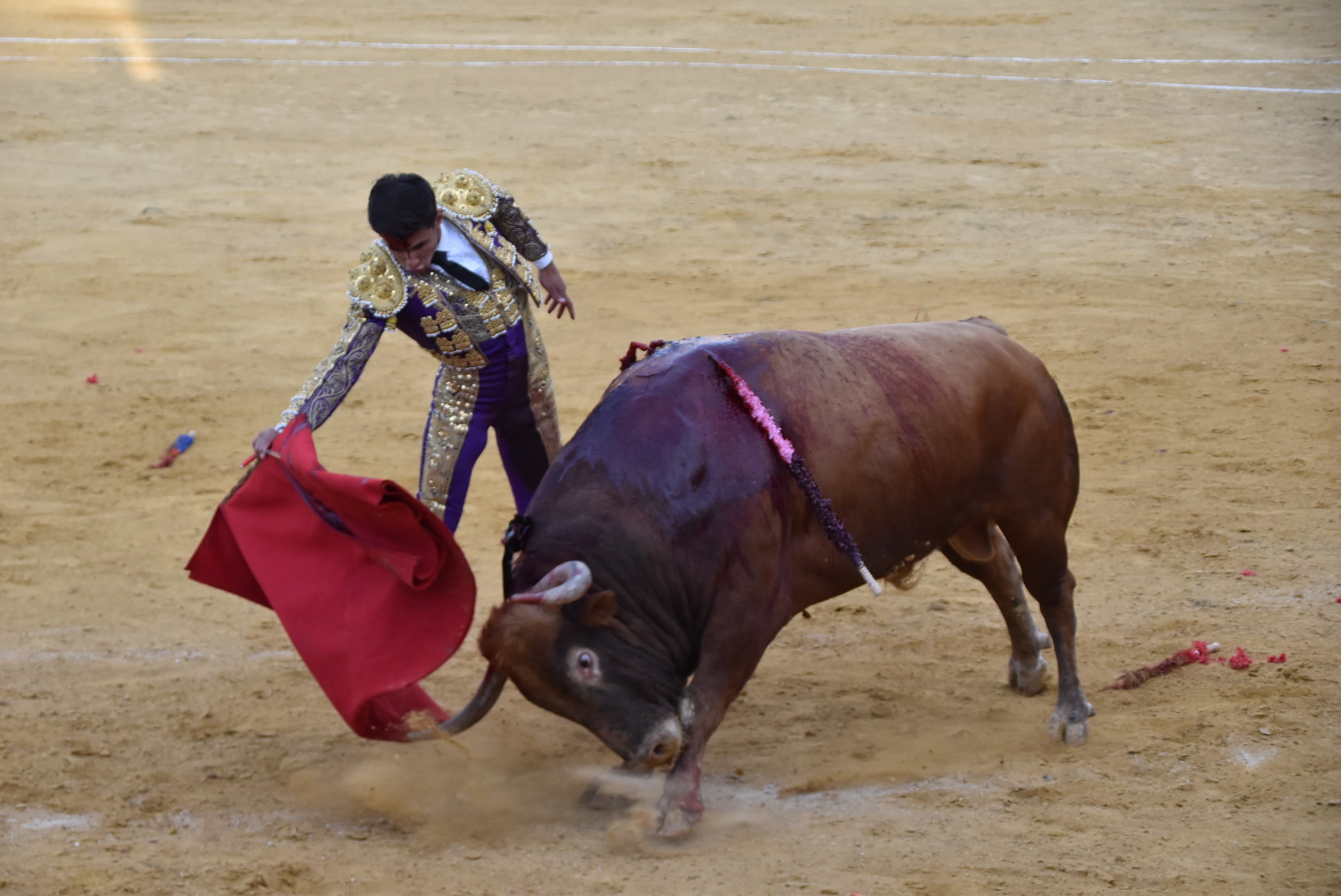 Puerta grande para Castaño, Diosleguarde y Julio Norte en la plaza de toros de Béjar