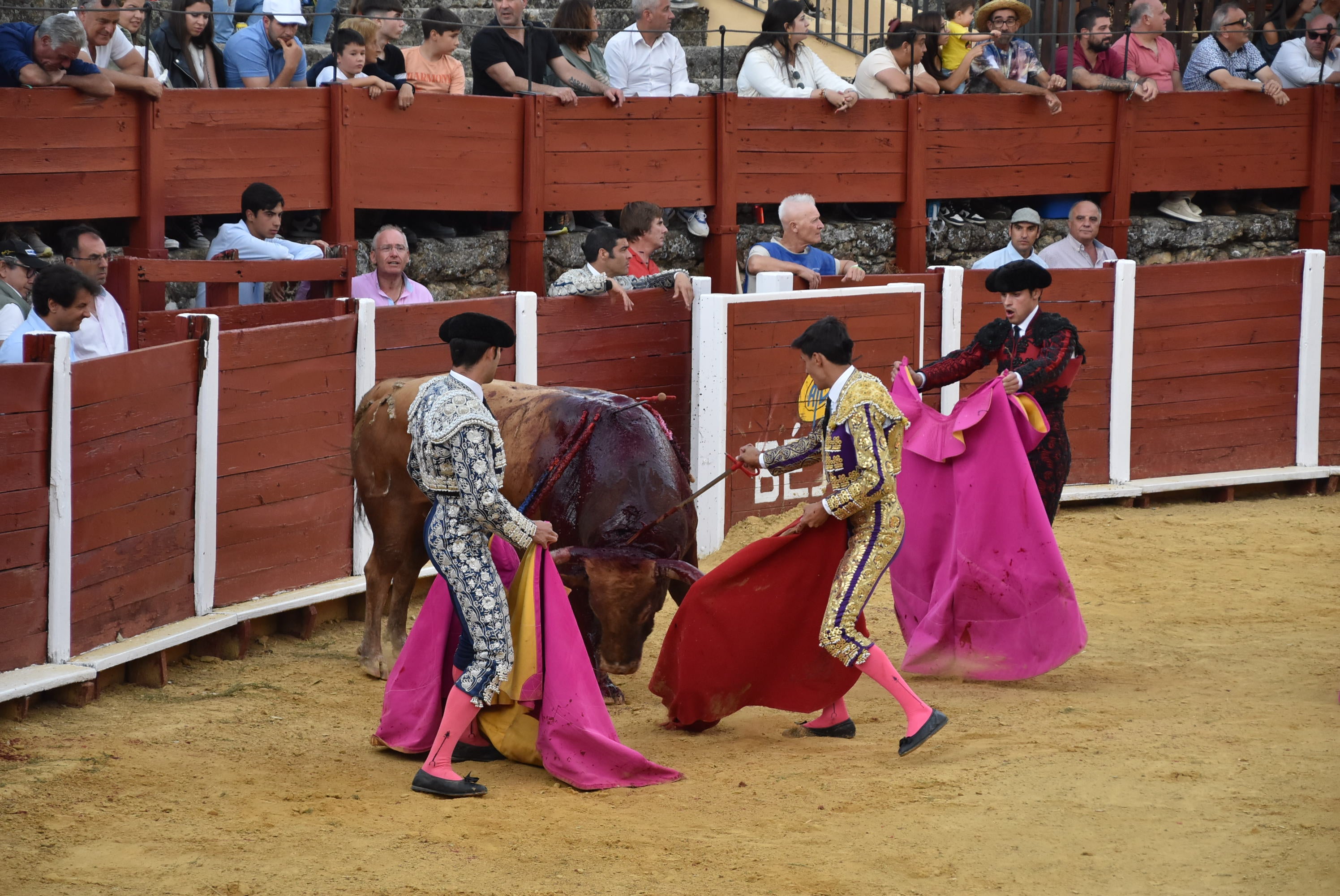 Puerta grande para Castaño, Diosleguarde y Julio Norte en la plaza de toros de Béjar