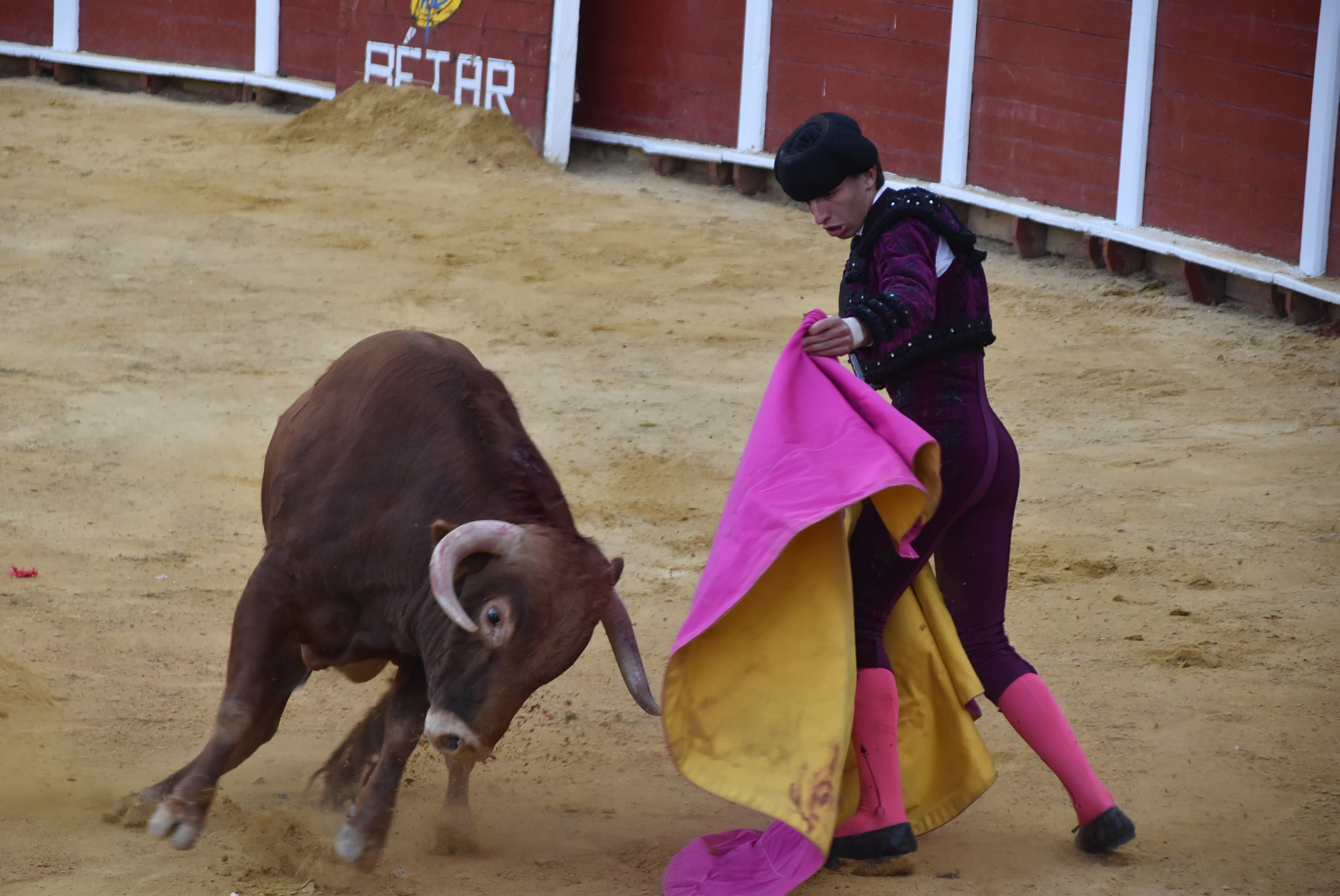 Puerta grande para Castaño, Diosleguarde y Julio Norte en la plaza de toros de Béjar