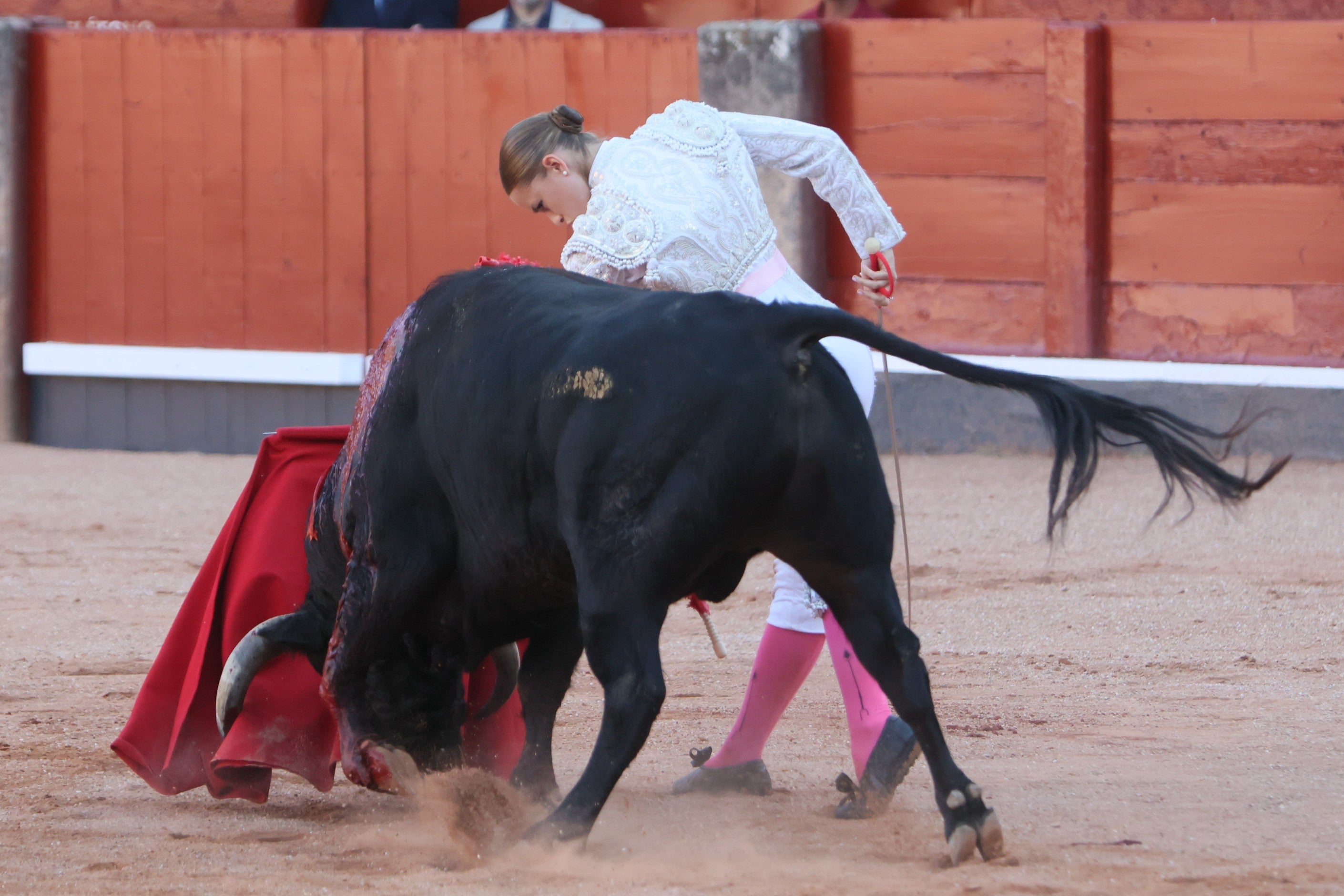 Las mejores imágenes de la novillada que abrió la Feria