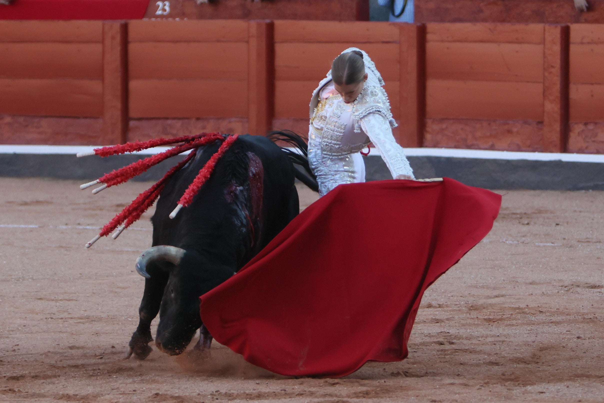 Las mejores imágenes de la novillada que abrió la Feria