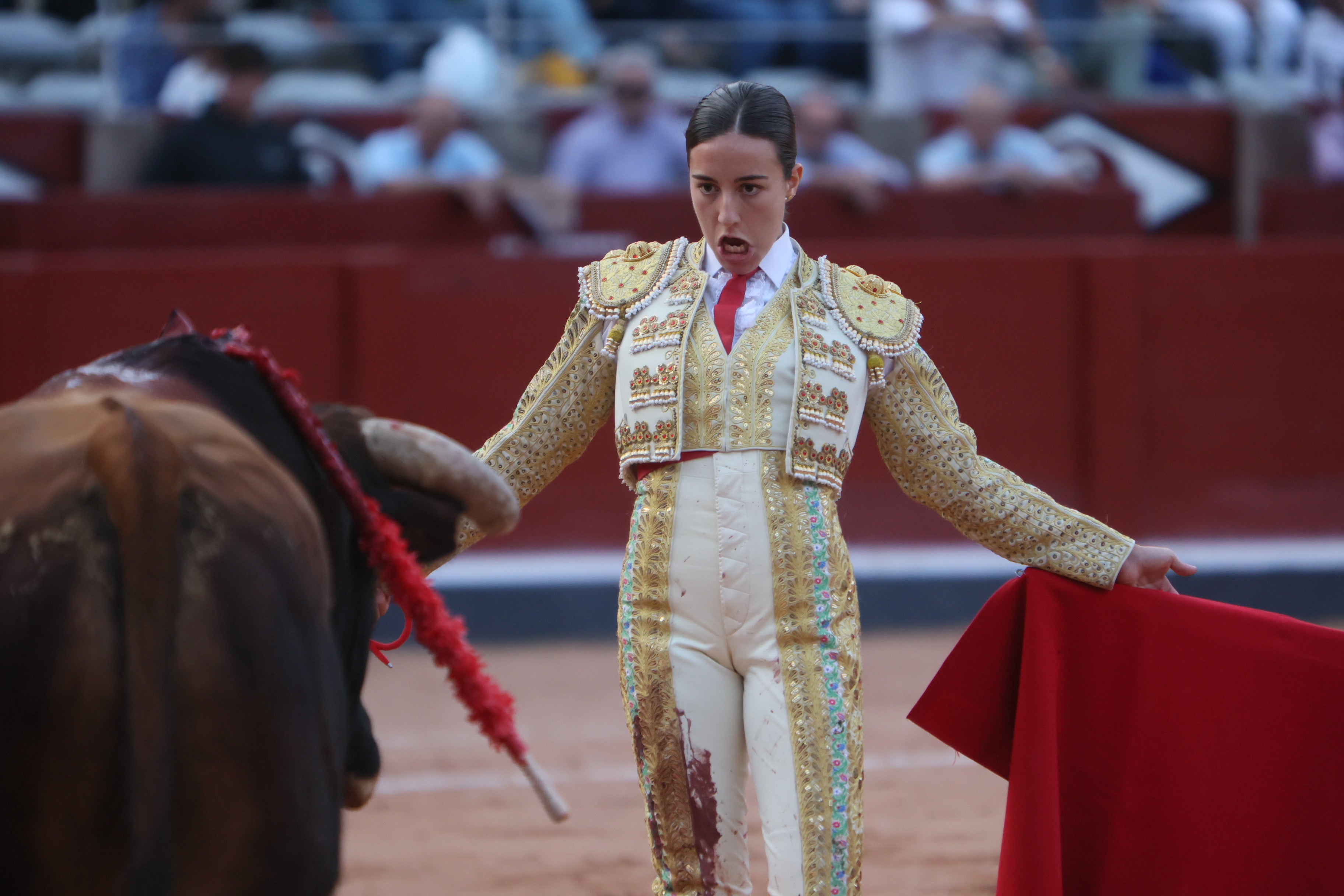 Las mejores imágenes de la novillada que abrió la Feria