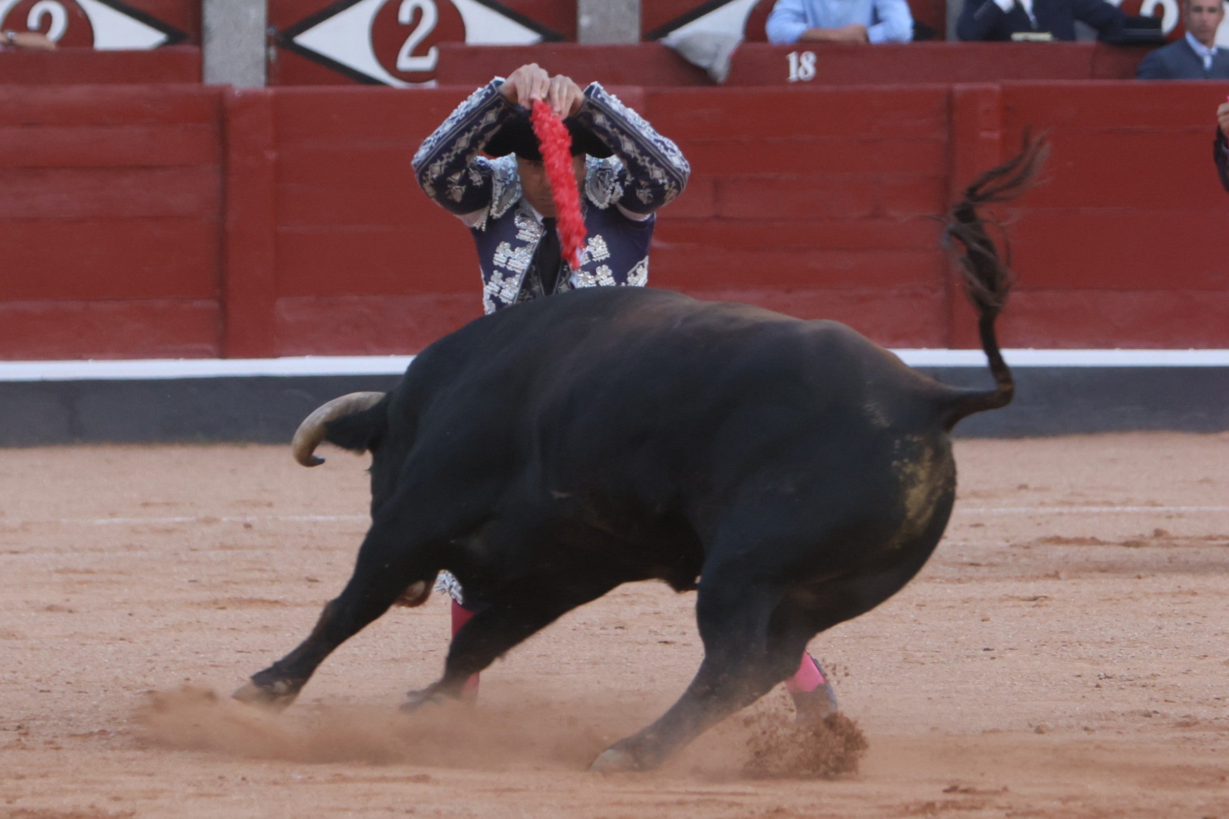 Las mejores imágenes de la novillada que abrió la Feria