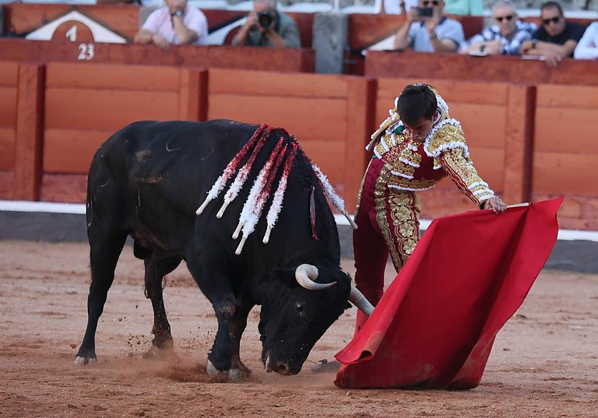 Natural de Ismael Martín a Gincanillo, el toro de Vellosino al que desorejó.