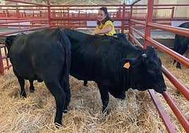 Ana García, ganadera, con sus moruchas negras.