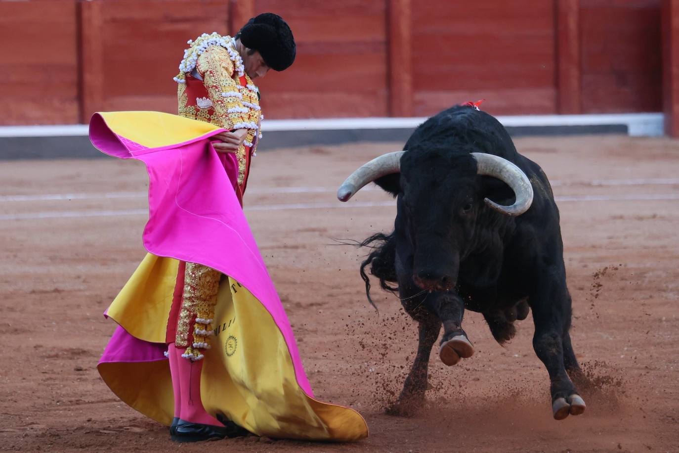 Las mejores imágenes del indulto de Buenasuerte en La Glorieta