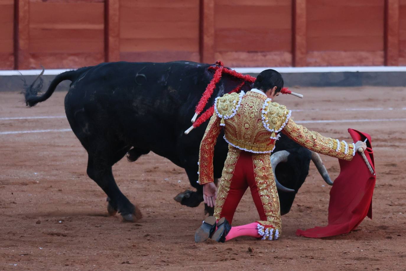 Las mejores imágenes del indulto de Buenasuerte en La Glorieta