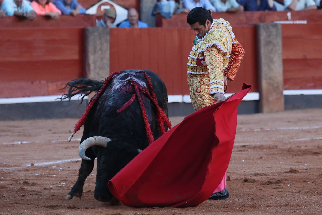 Las mejores imágenes del indulto de Buenasuerte en La Glorieta