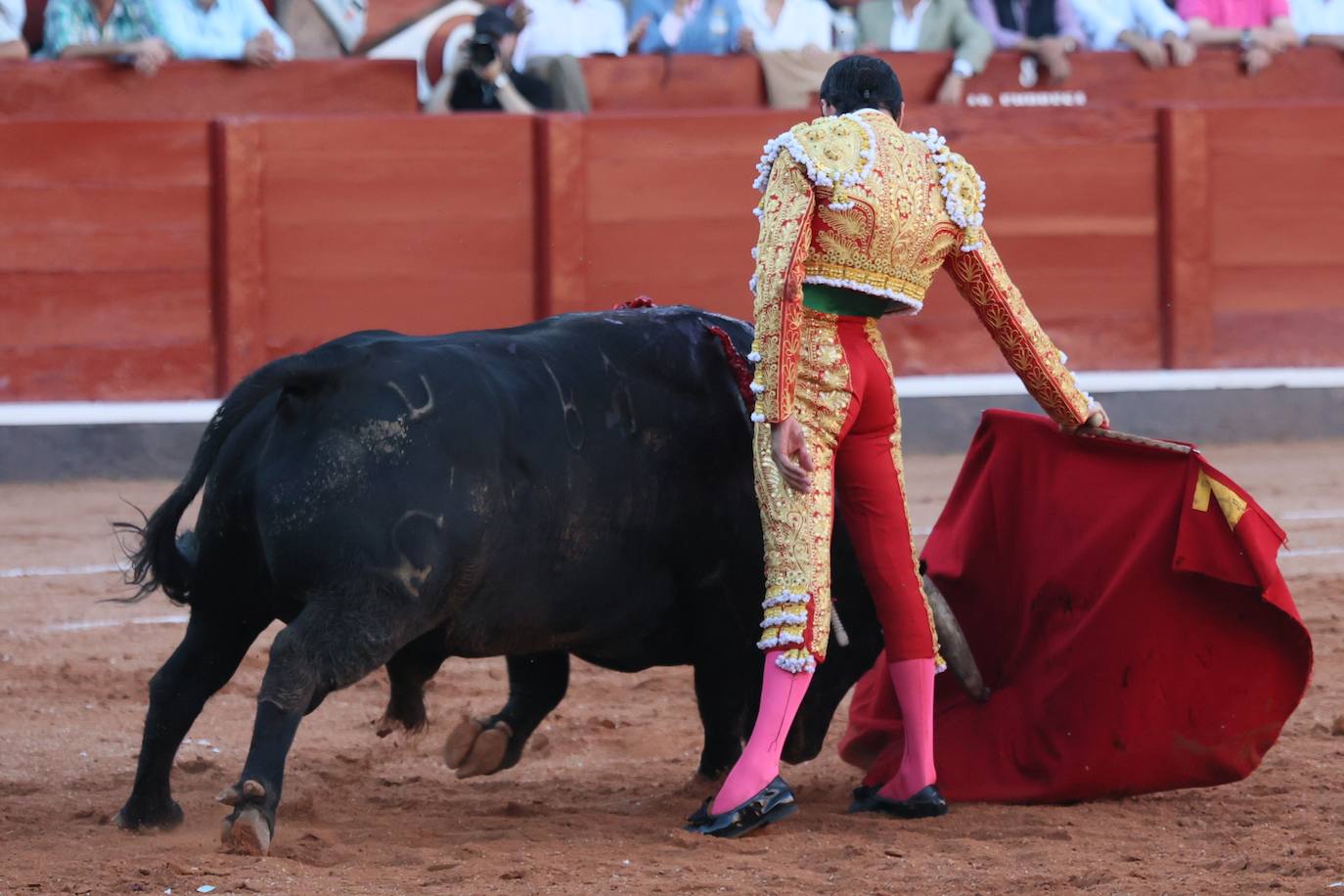 Las mejores imágenes del indulto de Buenasuerte en La Glorieta