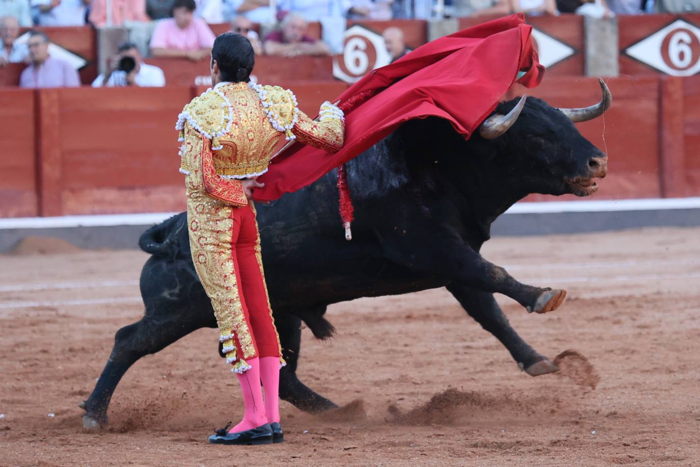 Las mejores imágenes del indulto de Buenasuerte en La Glorieta
