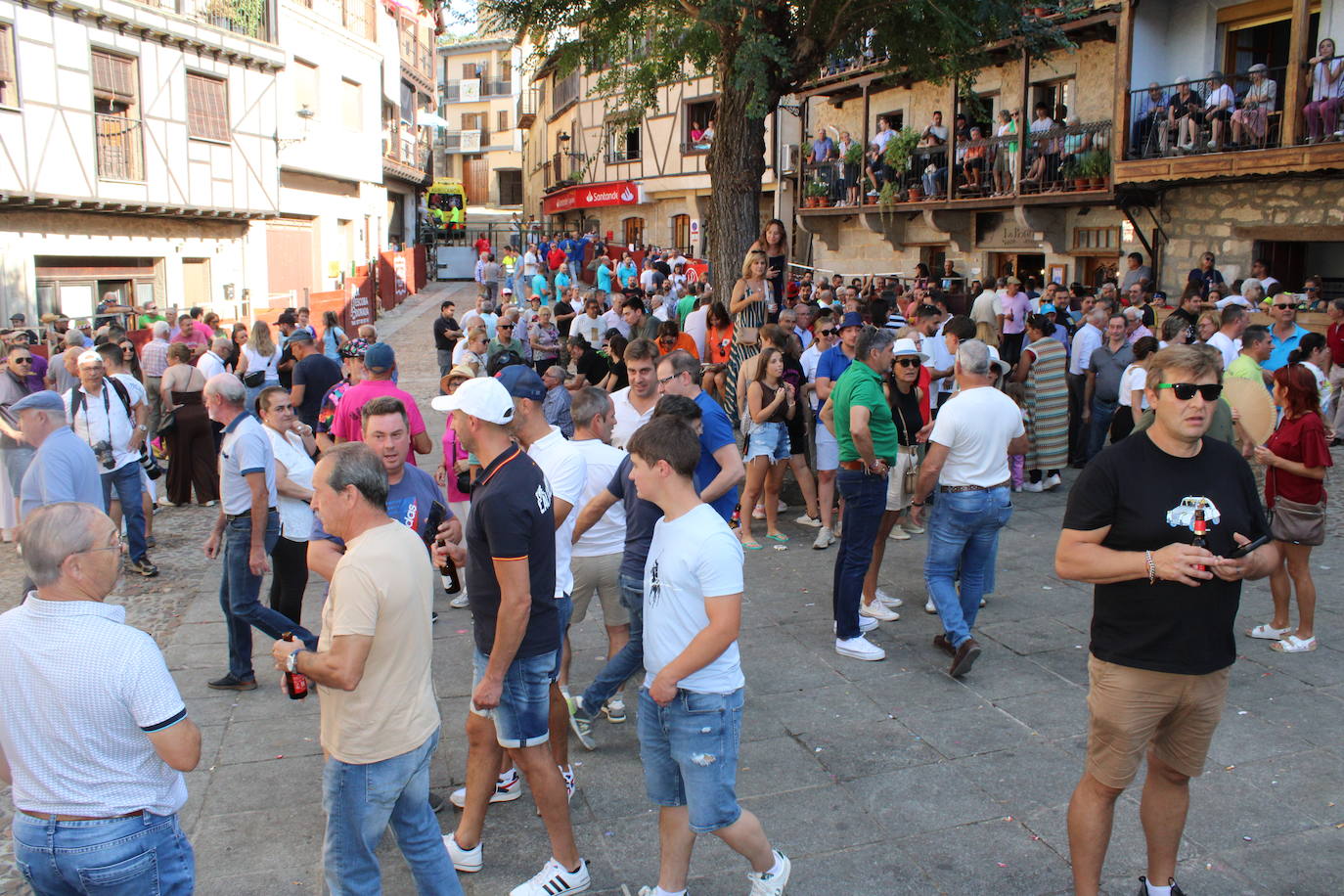 San Esteban de la Sierra disfruta con el toro