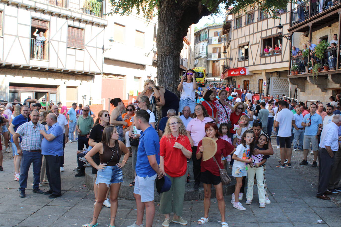 San Esteban de la Sierra disfruta con el toro