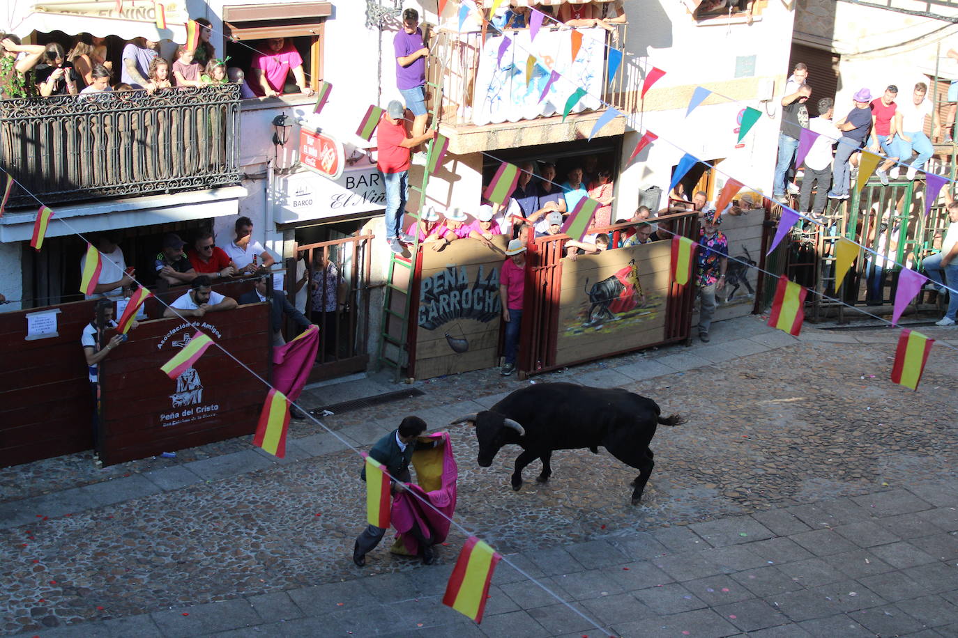 San Esteban de la Sierra disfruta con el toro