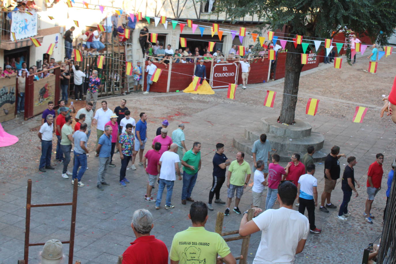 San Esteban de la Sierra disfruta con el toro