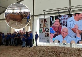 Ángel Abarca levanta la tarjeta por Urdangarín.