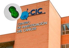 Un avance internacional liderado por el Centro de Investigación del Cáncer abre nuevas vías terapéuticas para el colangiocarcinoma