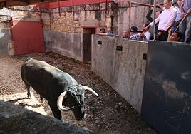 Esaborío, segundo toro de la función de este viernes que le ha tocado en suerte a Ismael Martín