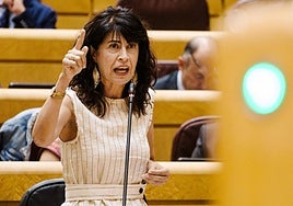 La ministra de Igualdad, Ana Redondo.
